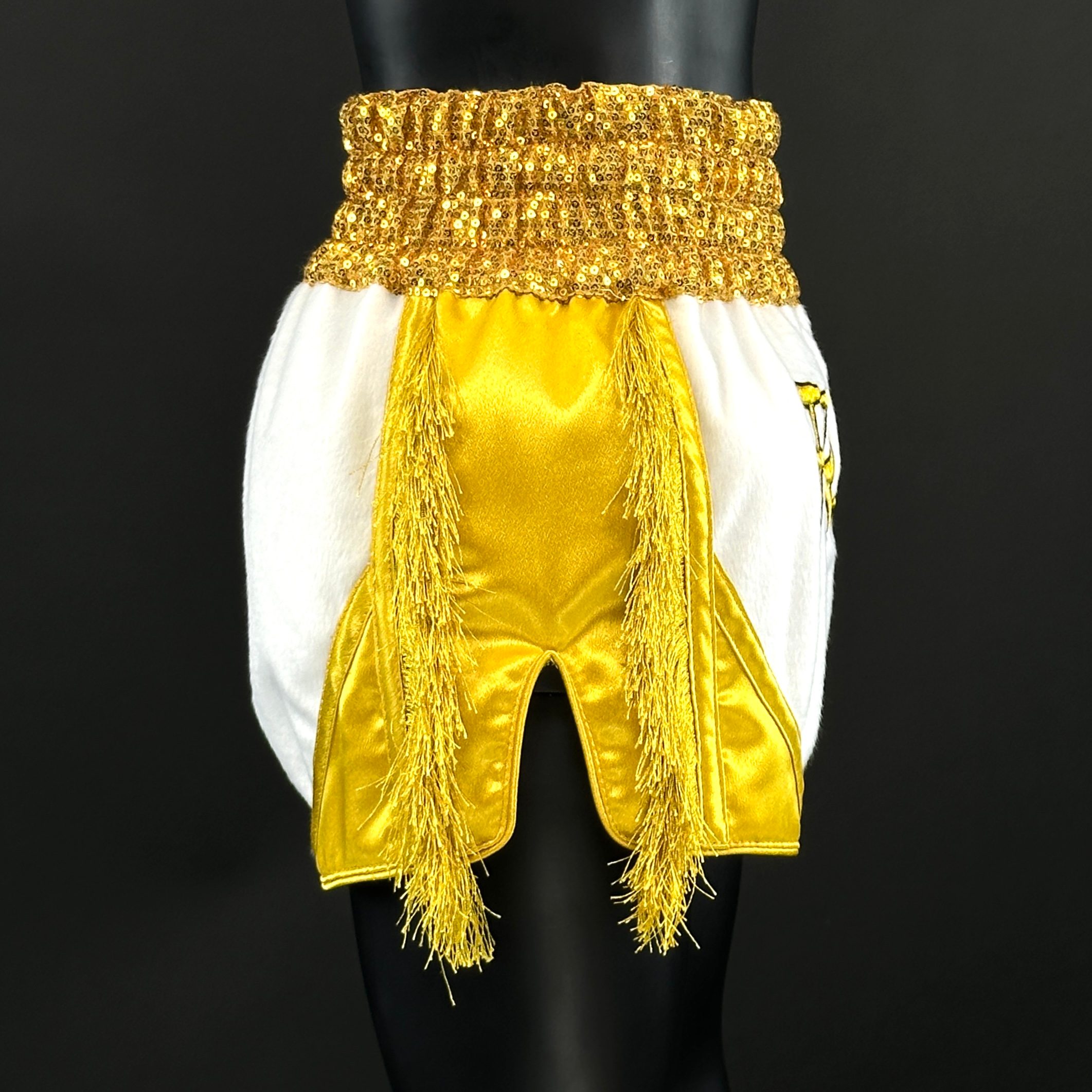 CHAOS MTS Mick 176206 Muay Thai Shorts