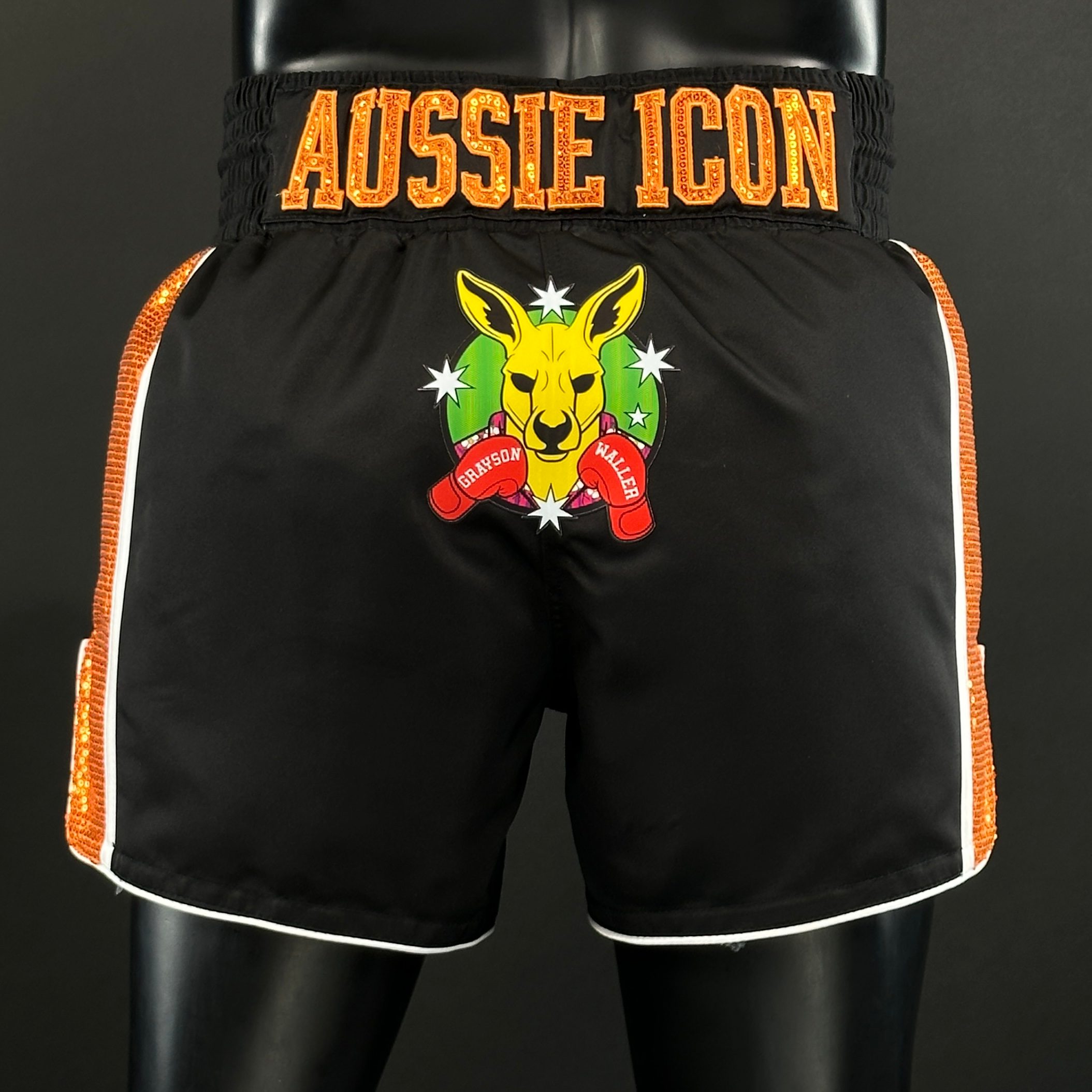 Side Stripe MTS Matthew 177243 Muay Thai Shorts