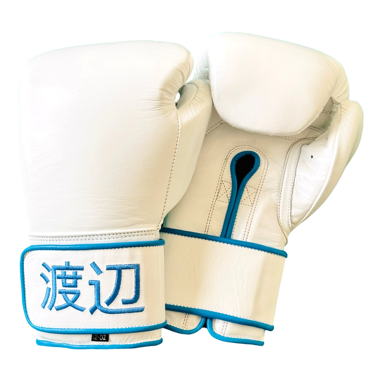 GLOVES EASY (2 colour) Old 177224 Dejan Boxing Gloves
