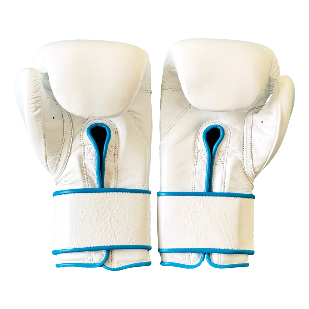 GLOVES EASY (2 colour)  177224 Dejan Boxing Gloves