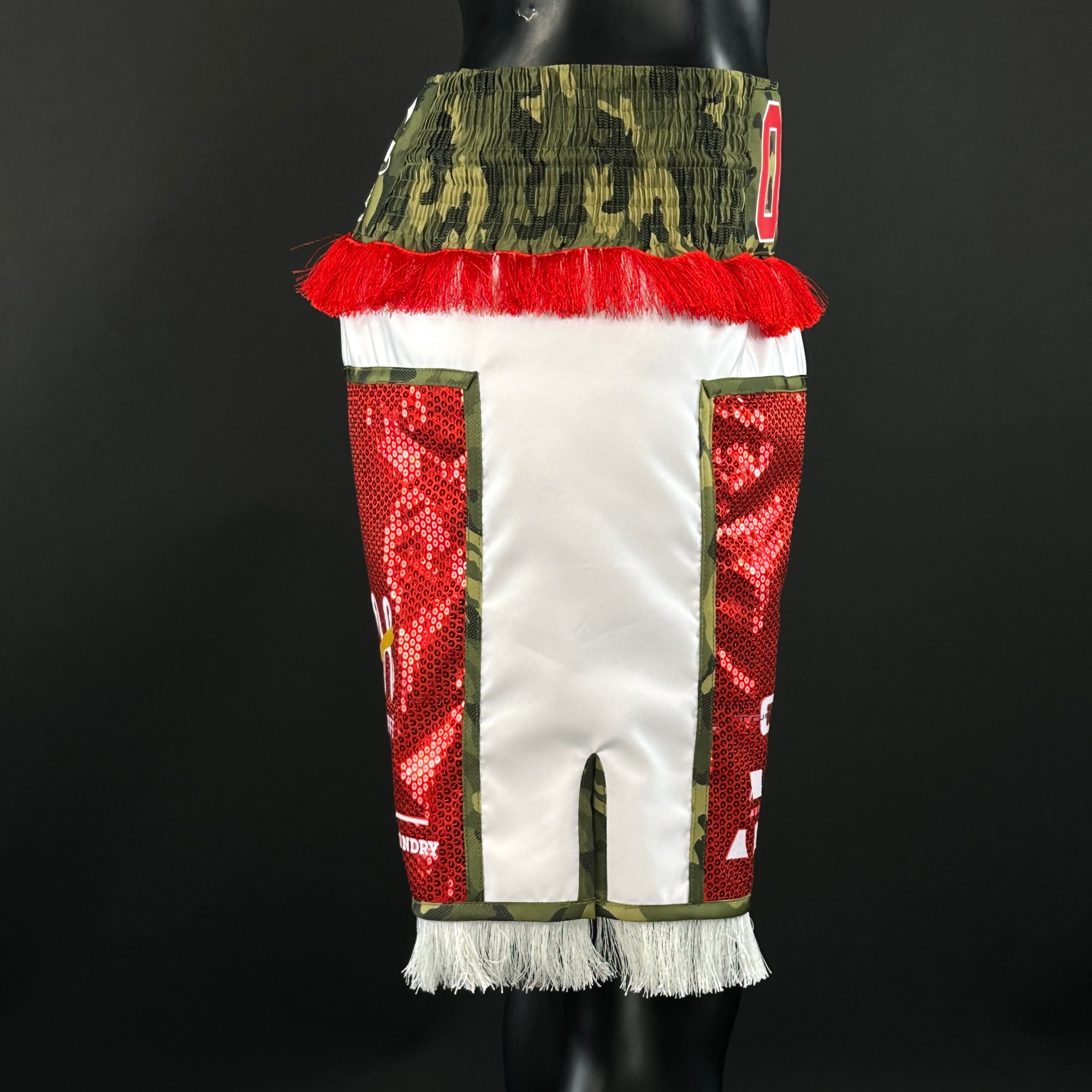 JOSHUA BX  Tyrell 175983 Custom Boxing Shorts & Trunks