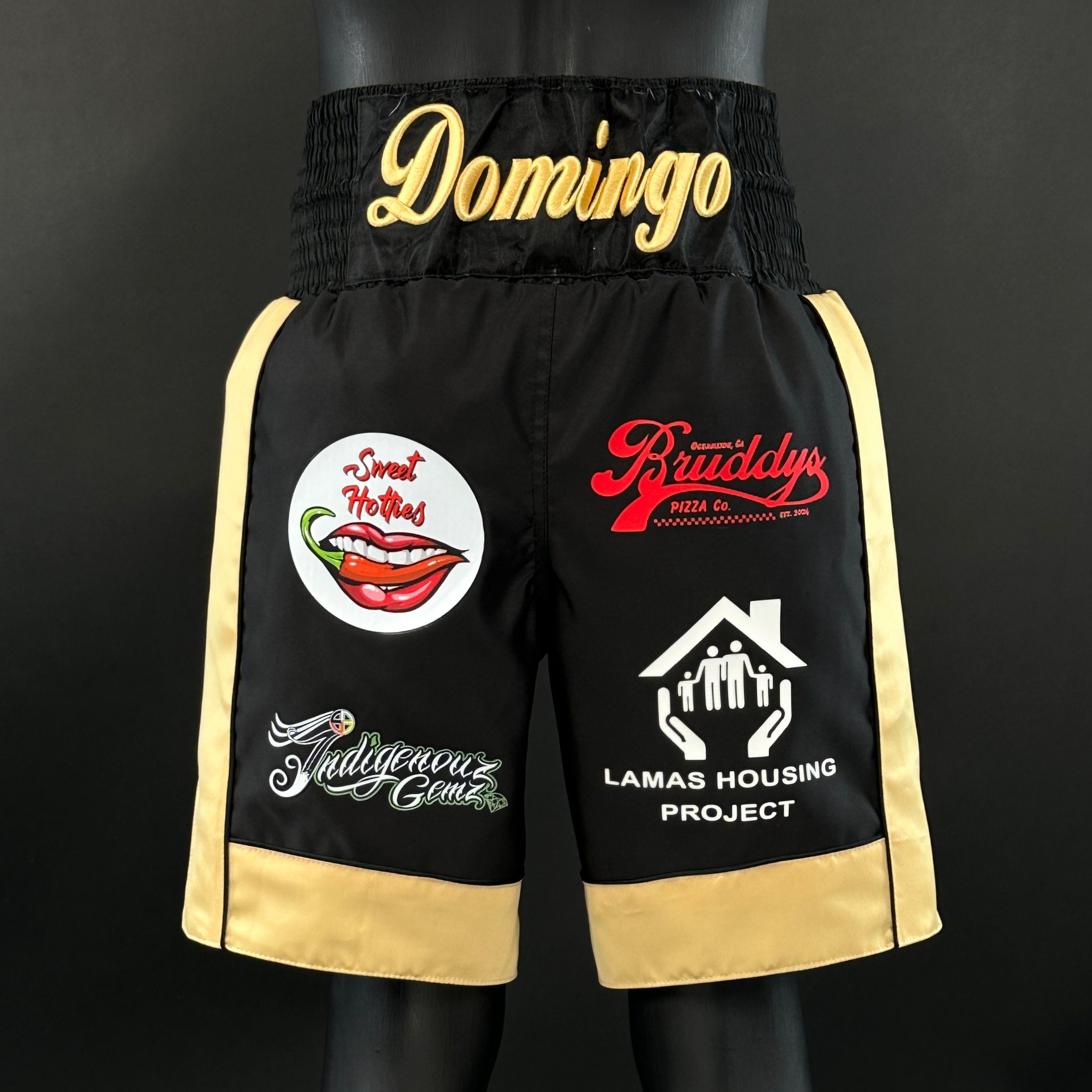 Panel Long Tassels BX David 177605 Custom Boxing Shorts & Trunks