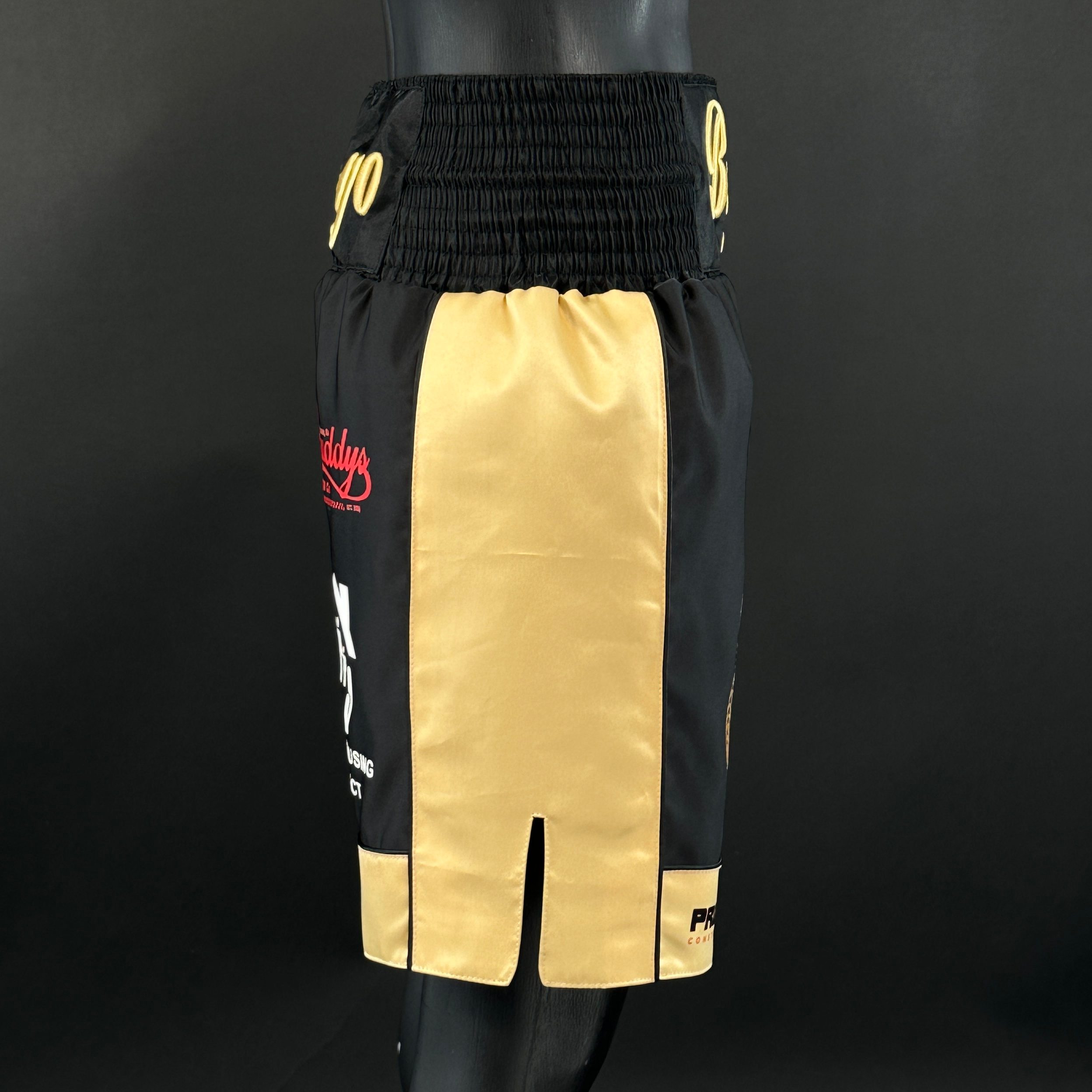 Panel Long Tassels BX David 177605 Custom Boxing Shorts & Trunks