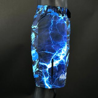 Three Panel MMA Dylan 176071 MMA Shorts