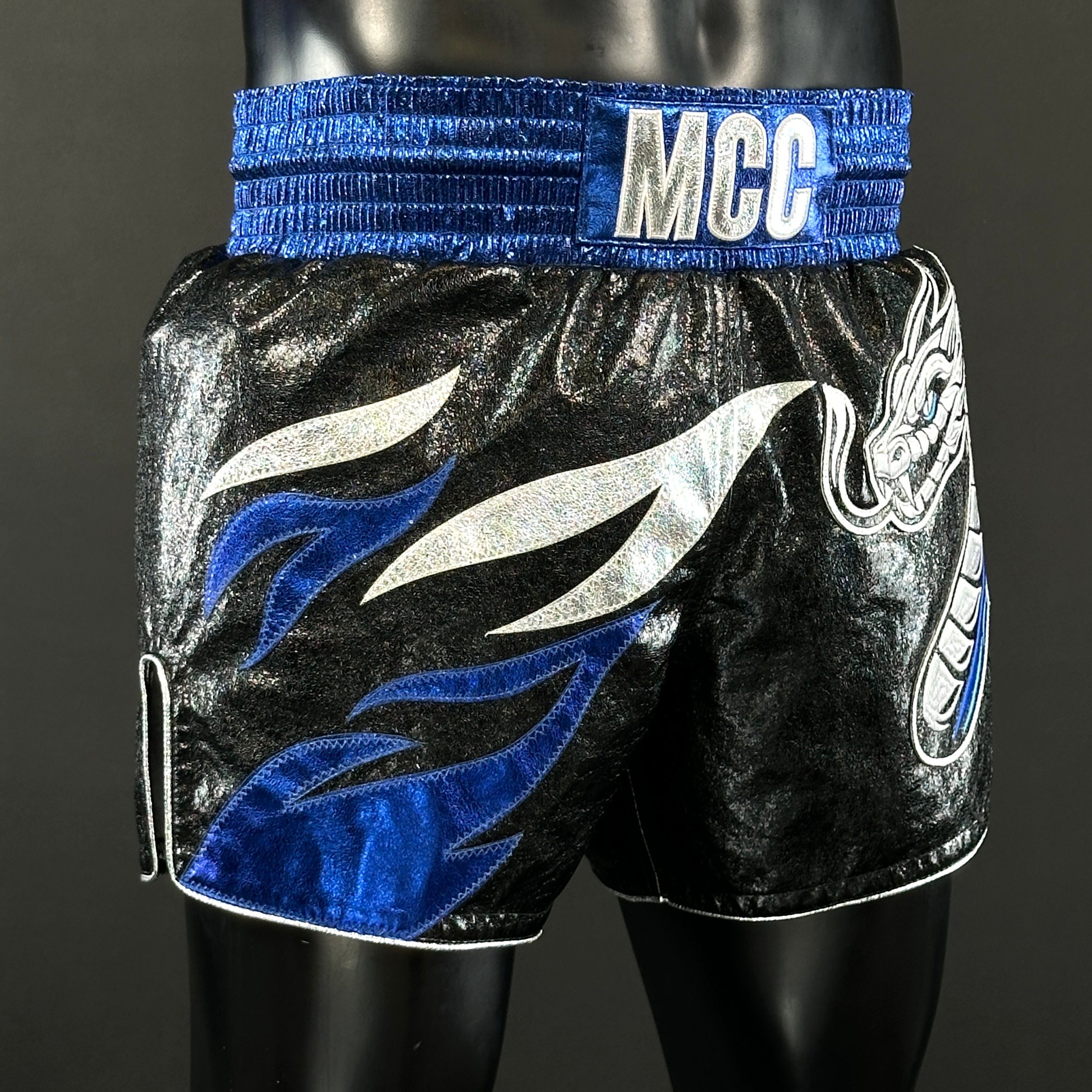 Roy Jones MTS Afonso 174882 Muay Thai Shorts