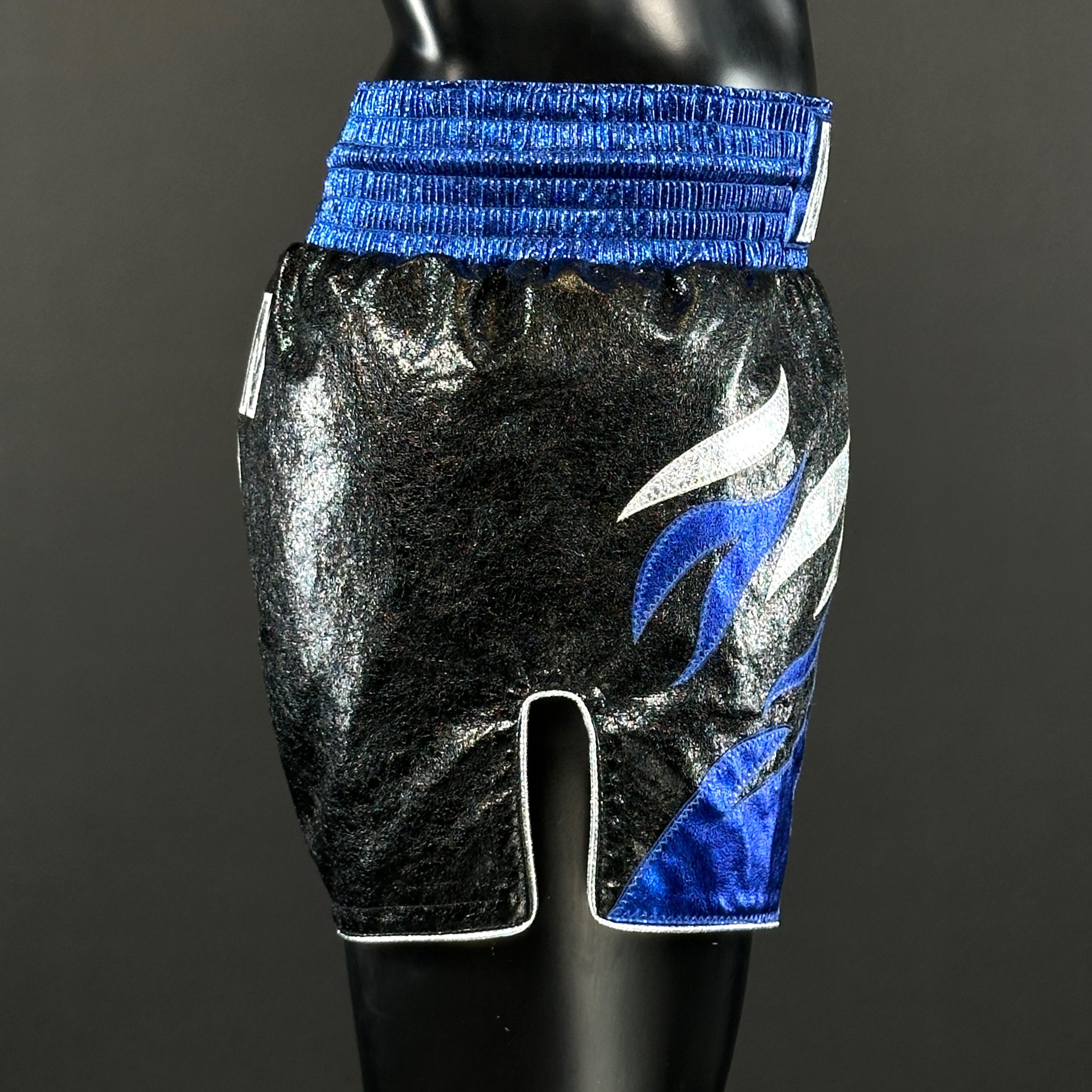 Roy Jones MTS Afonso 174882 Muay Thai Shorts