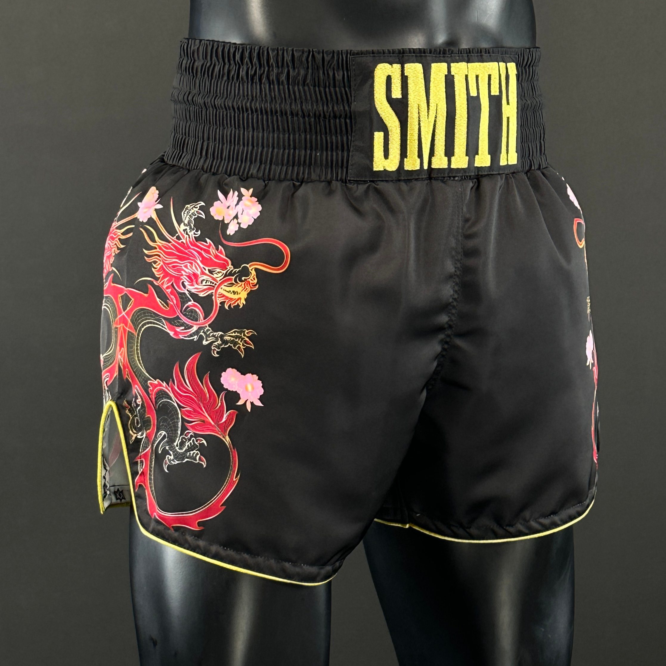 DRAGON MTS Nolan 176886 Muay Thai Shorts
