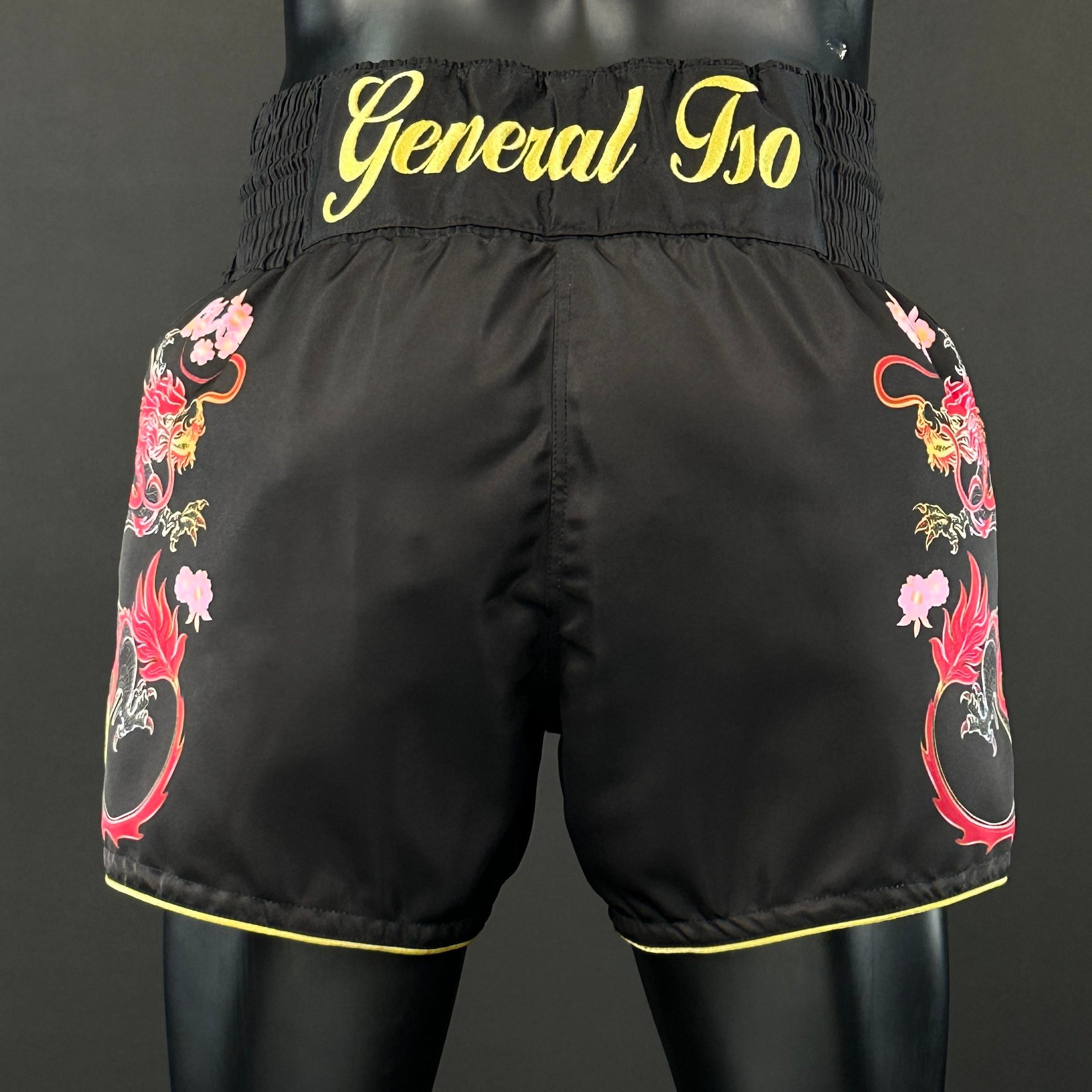 DRAGON MTS Nolan 176886 Muay Thai Shorts