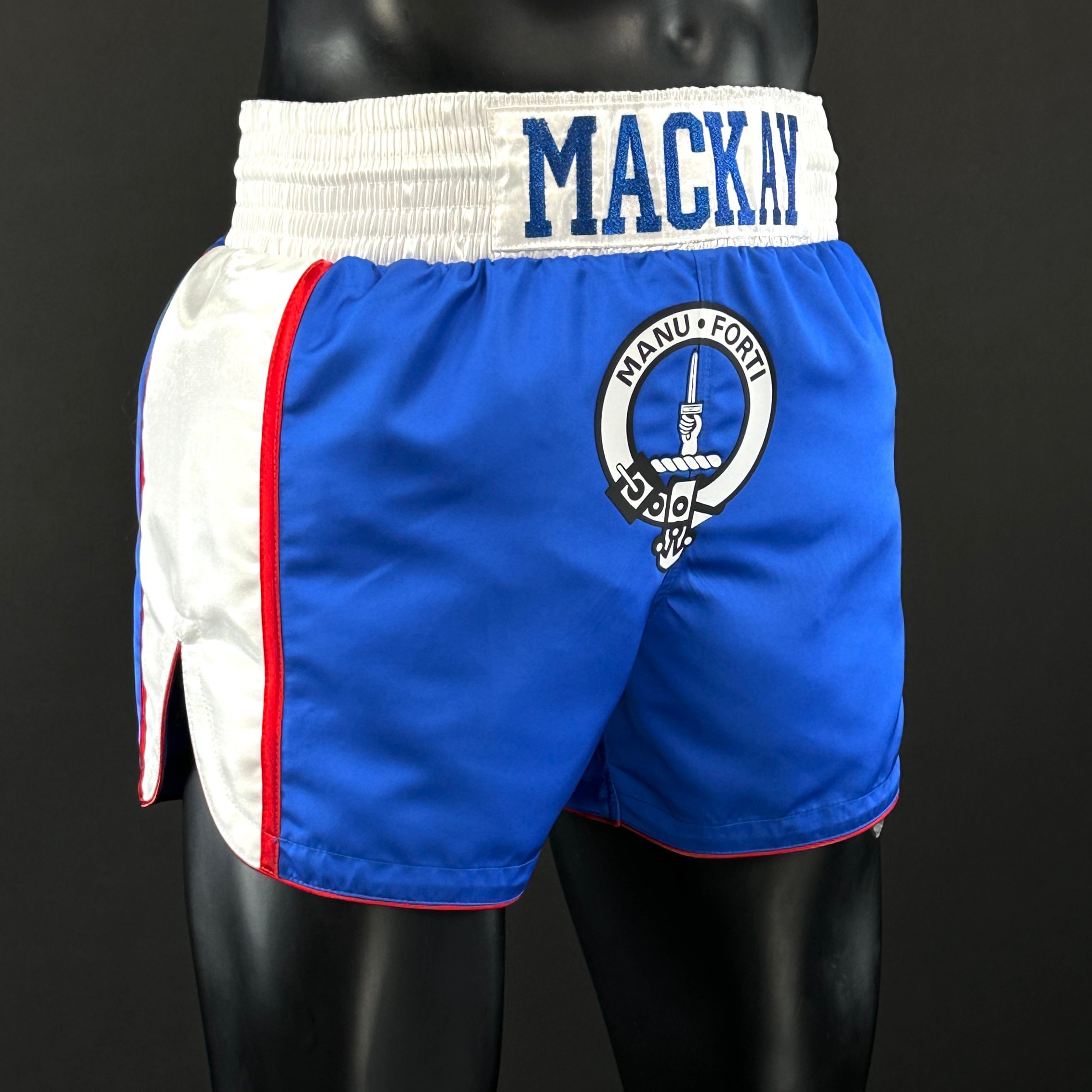 Side Stripe MTS Strathy 177619 Muay Thai Shorts