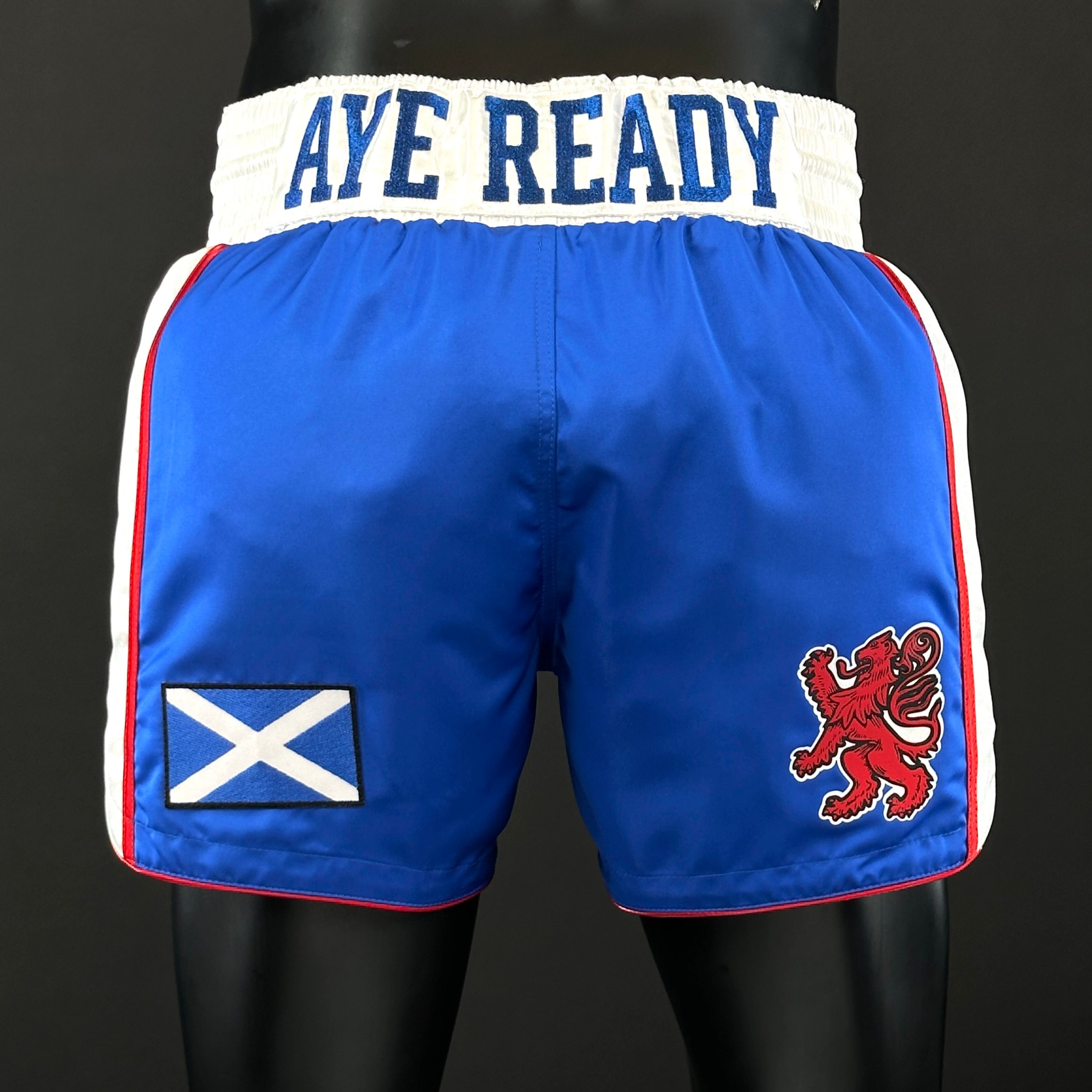 Side Stripe MTS Strathy 177619 Muay Thai Shorts