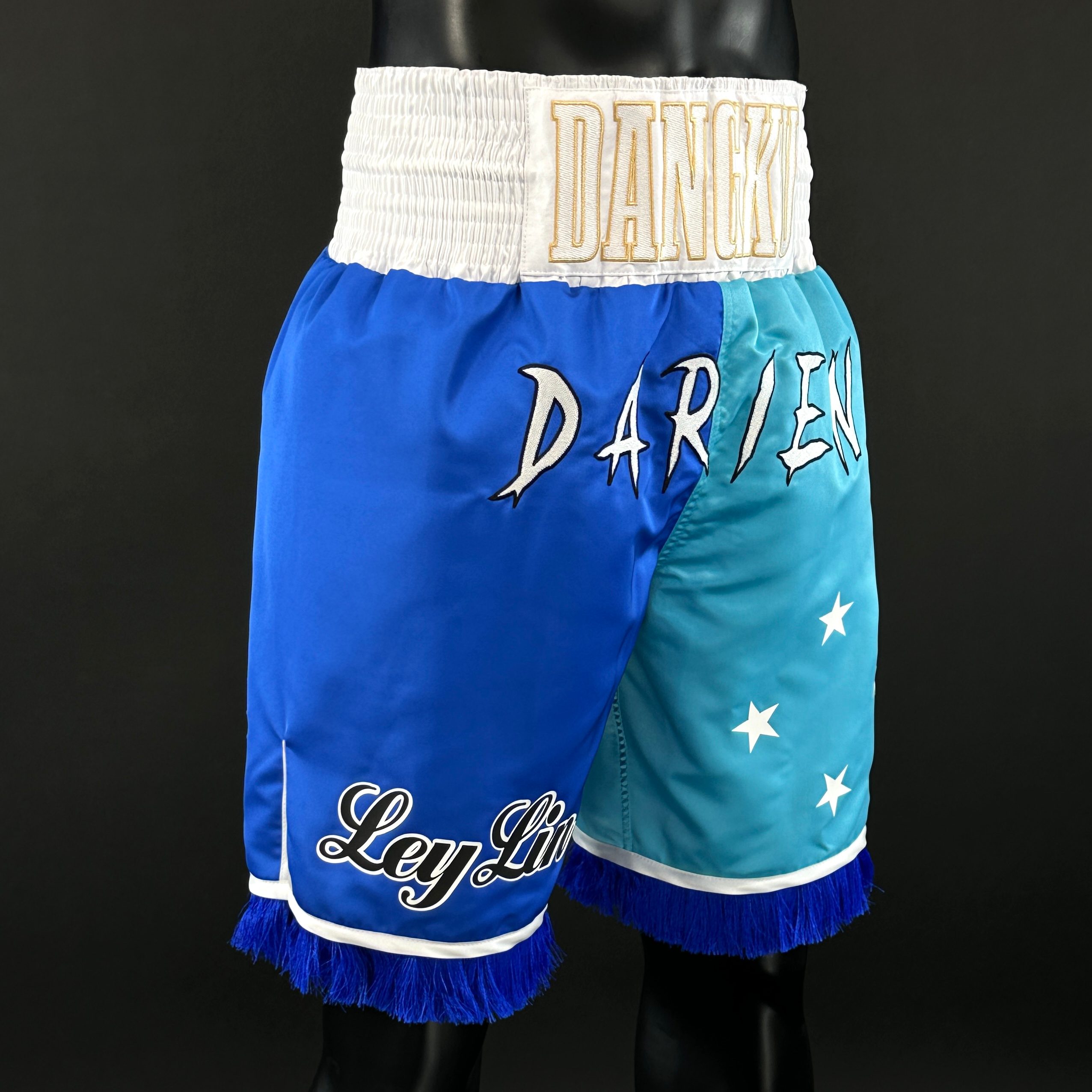 Haringey BX Vell-Nor 176666 Custom Boxing Shorts & Trunks