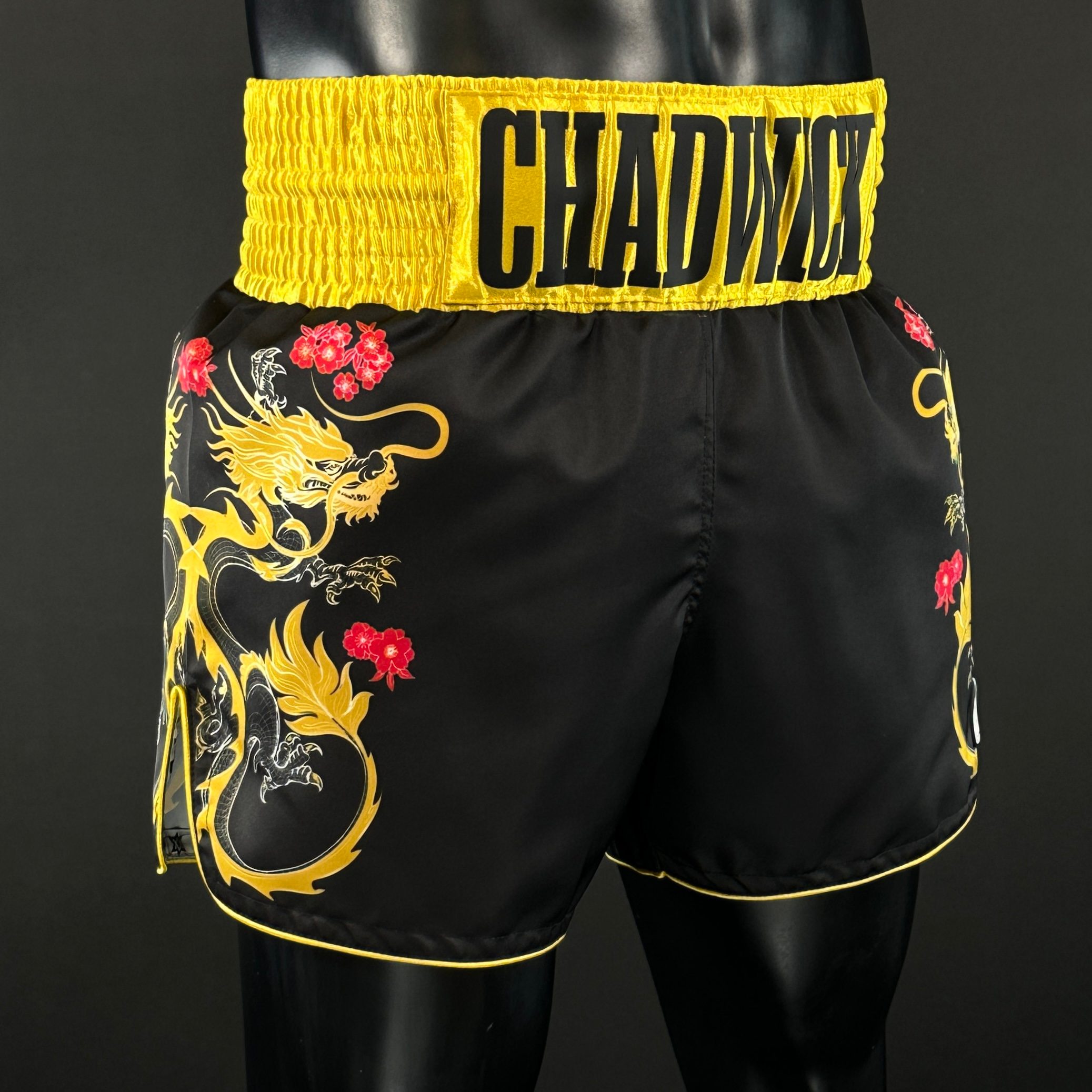 DRAGON MTS George 178154 Muay Thai Shorts