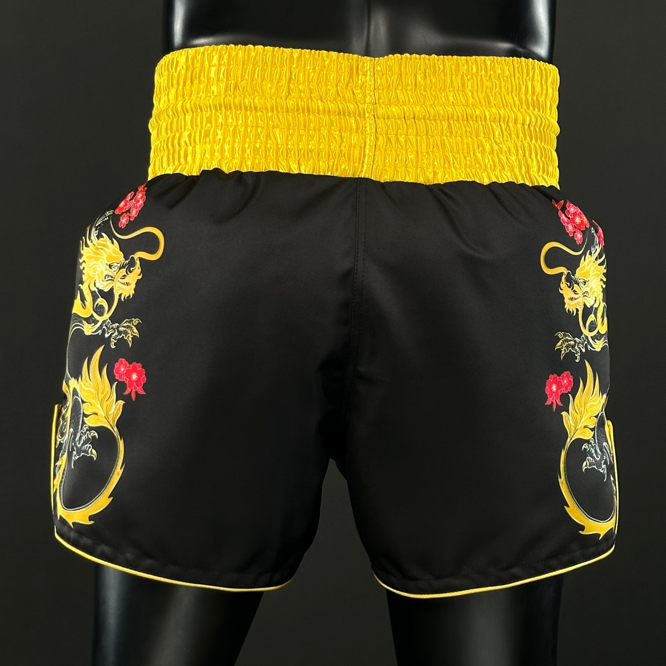 DRAGON MTS George 178154 Muay Thai Shorts