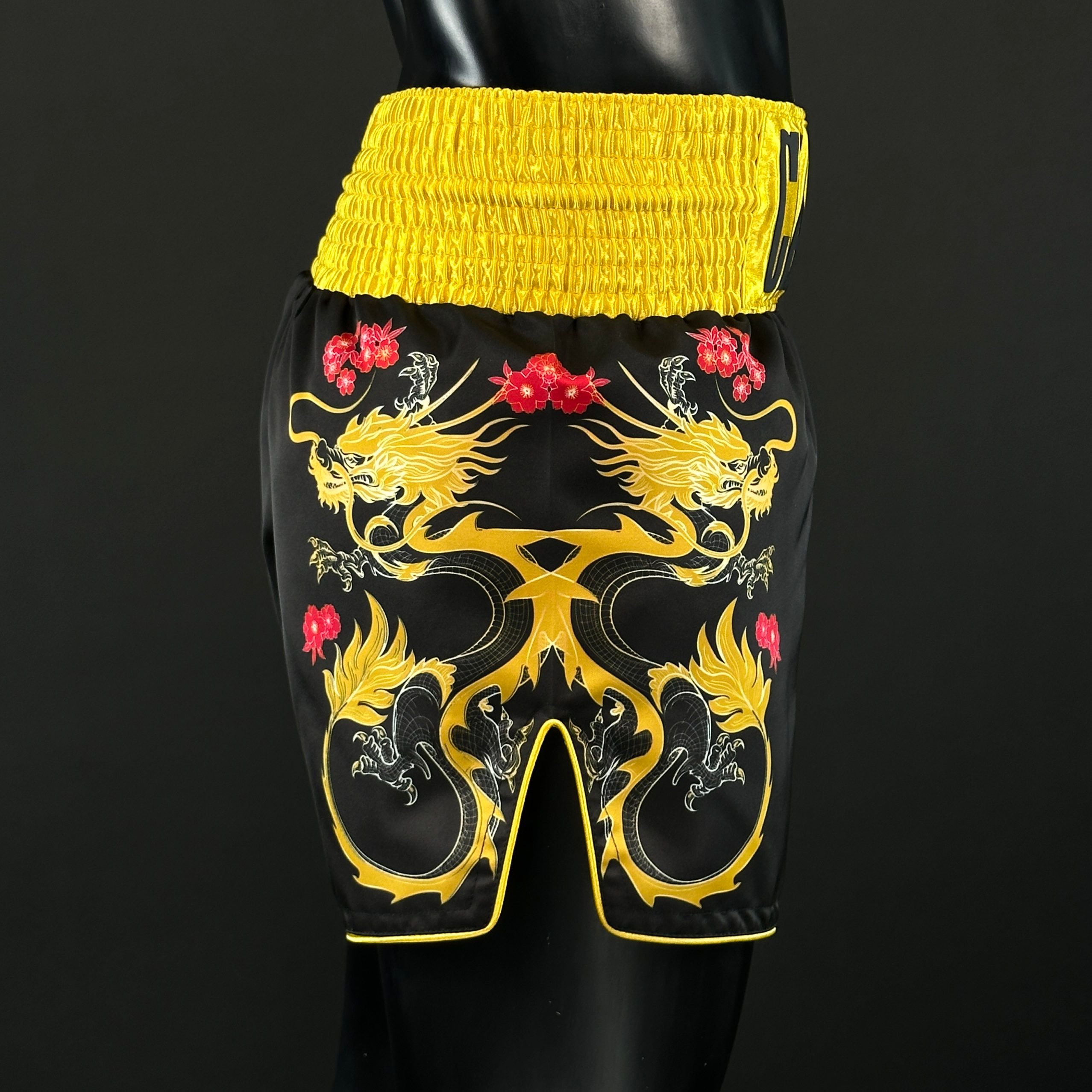 DRAGON MTS George 178154 Muay Thai Shorts