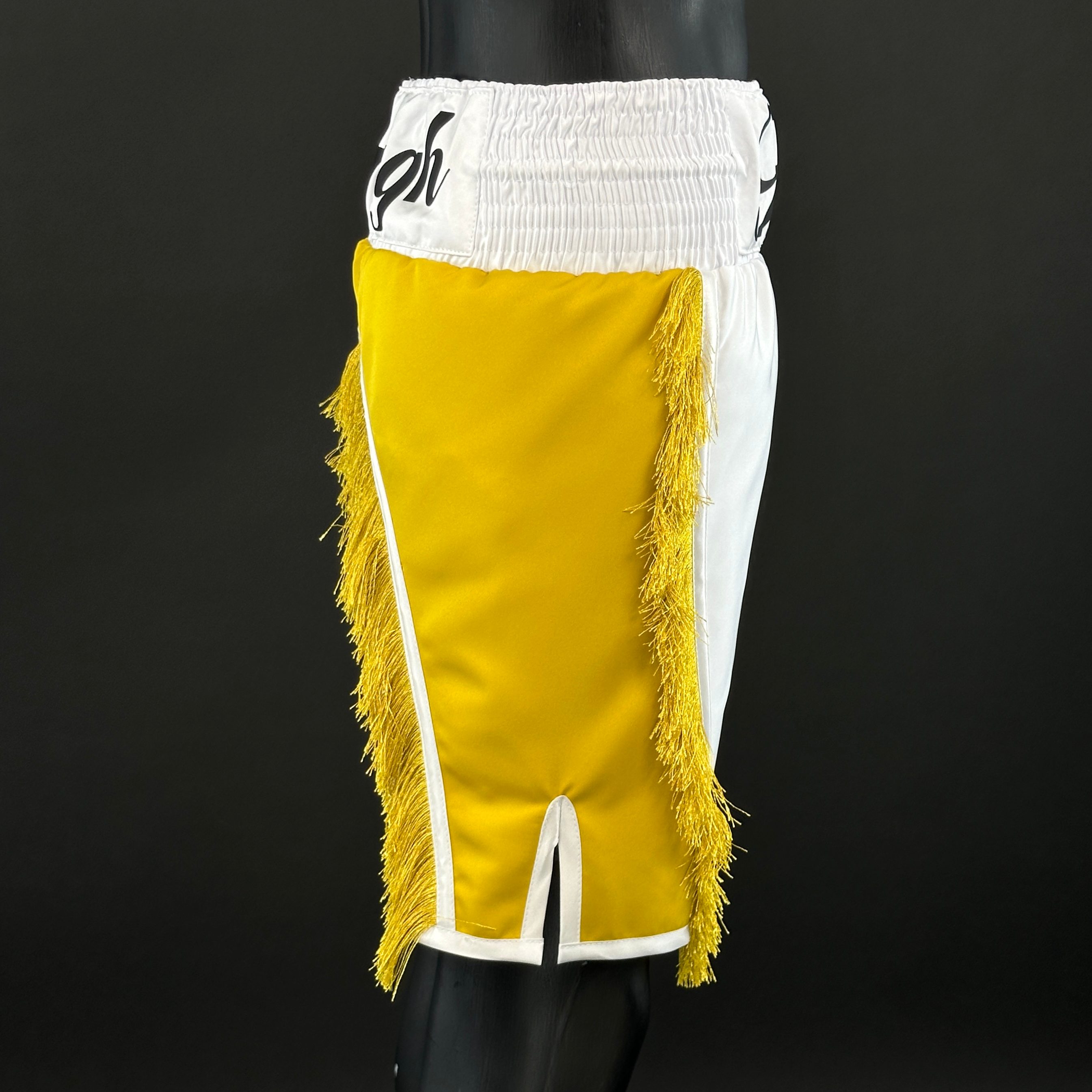 Floyd BX Patrick 156571 Custom Boxing Shorts & Trunks