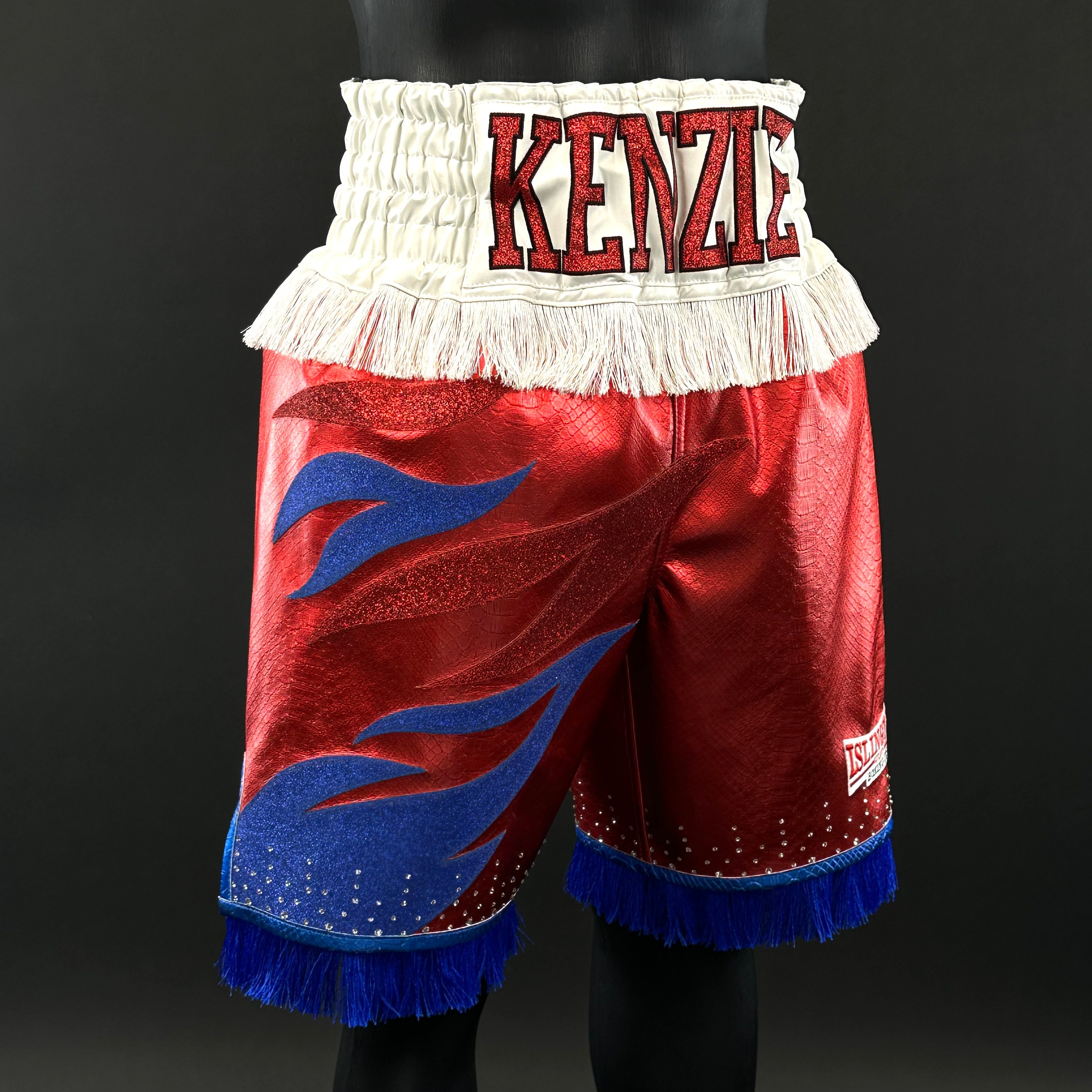 Roy Jones BX paula 178925 Custom Boxing Shorts & Trunks