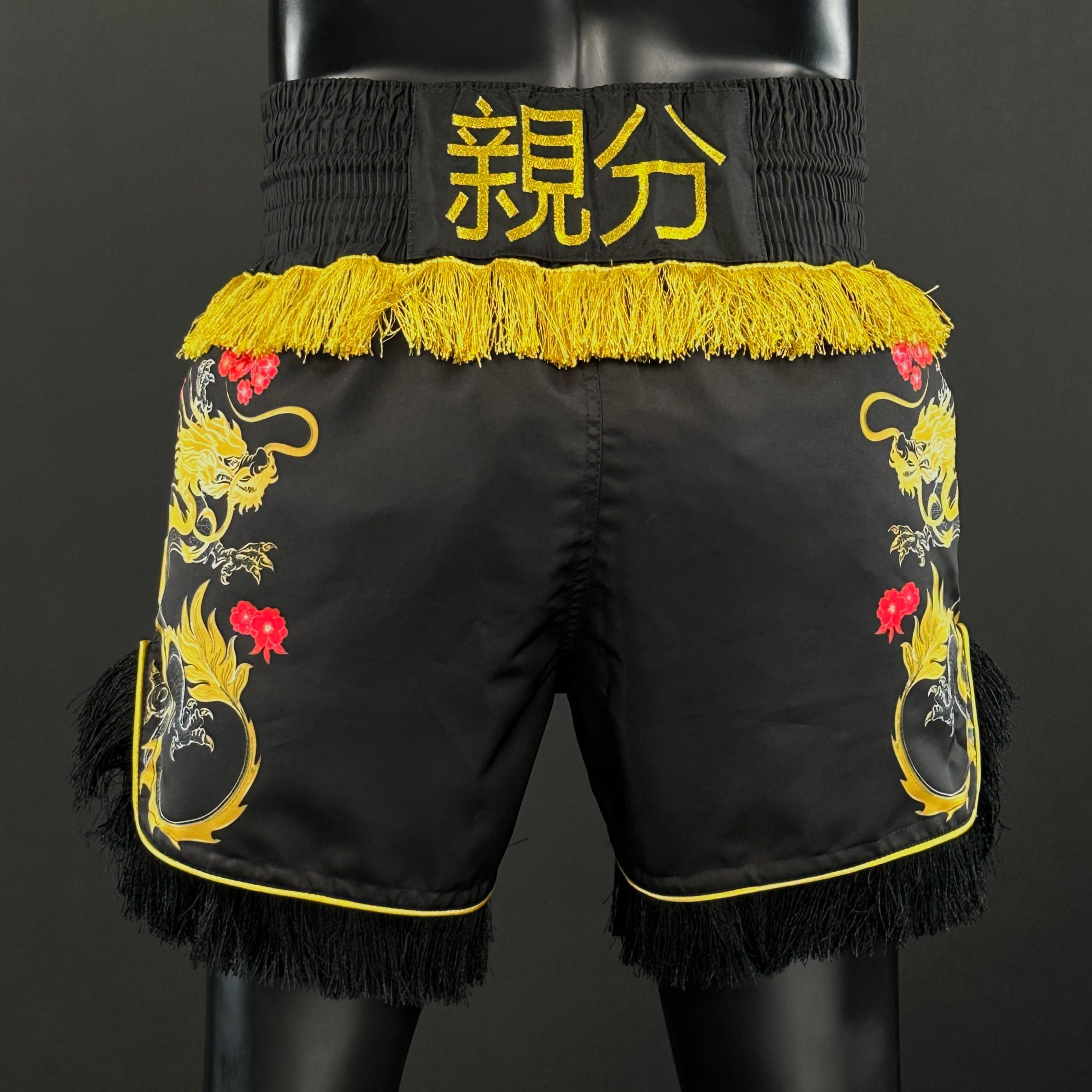DRAGON MTS Tomas 177764 Muay Thai Shorts
