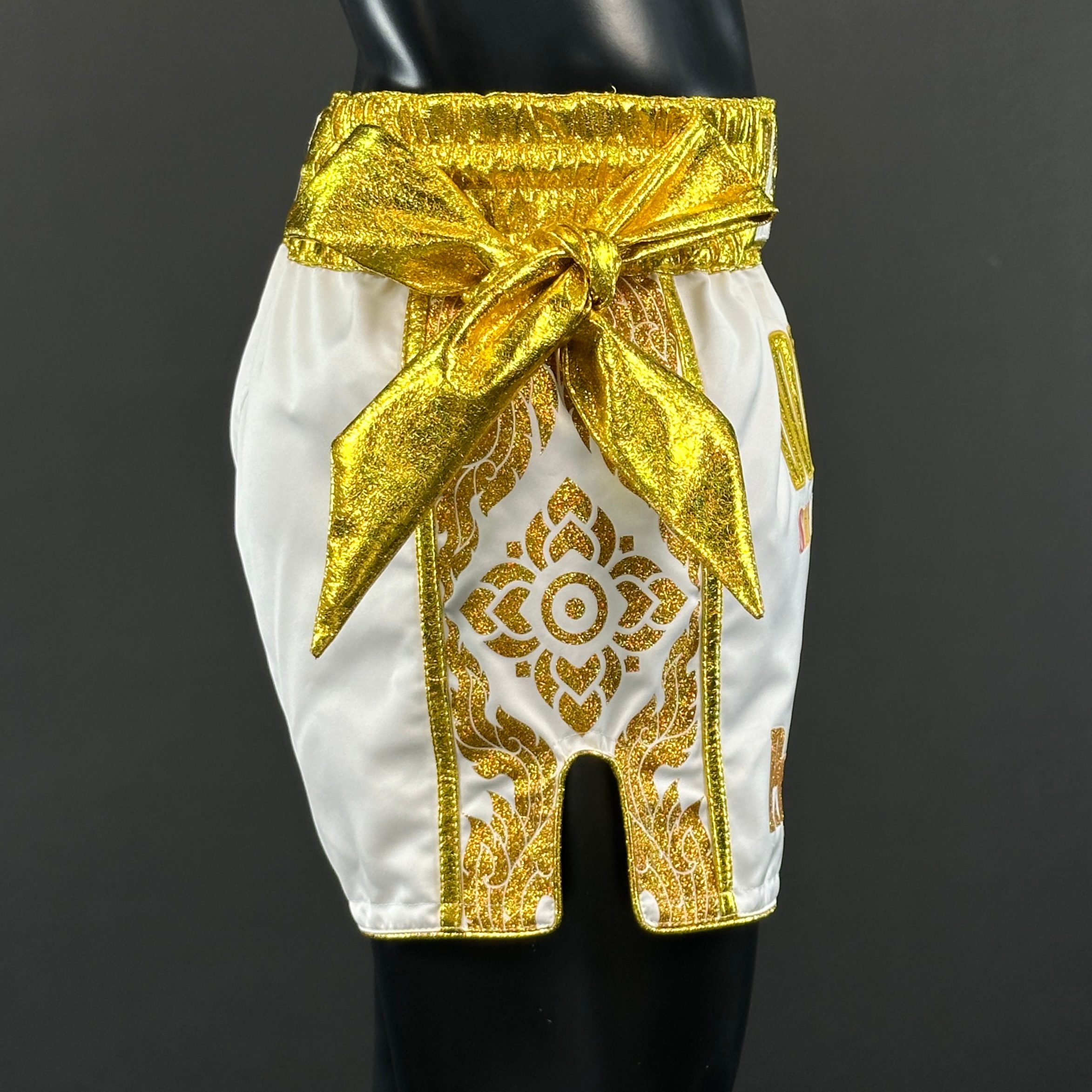 One Champ MTS Ashton 179484 Muay Thai Shorts