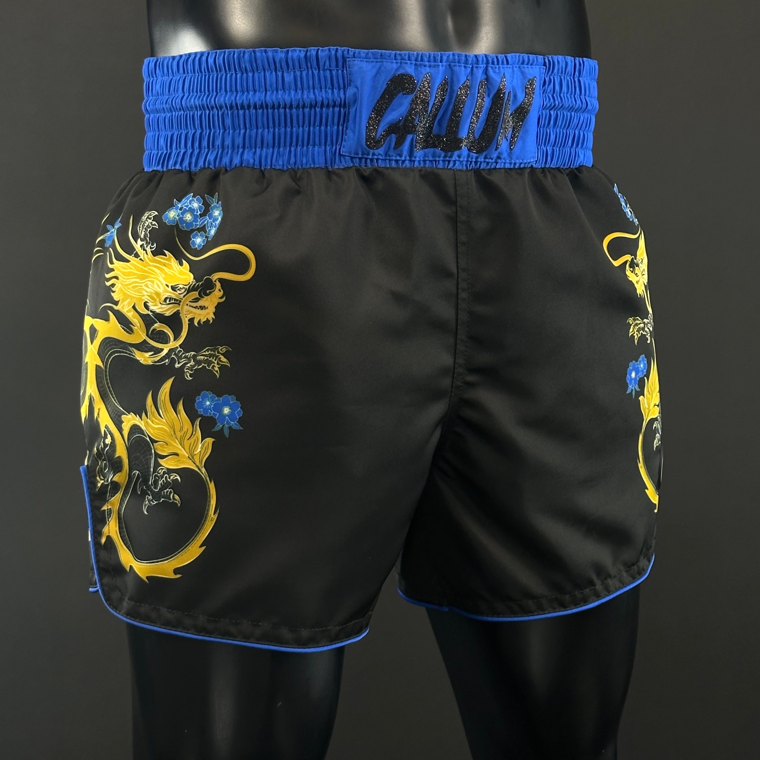 DRAGON MTS Tia 179552 Muay Thai Shorts