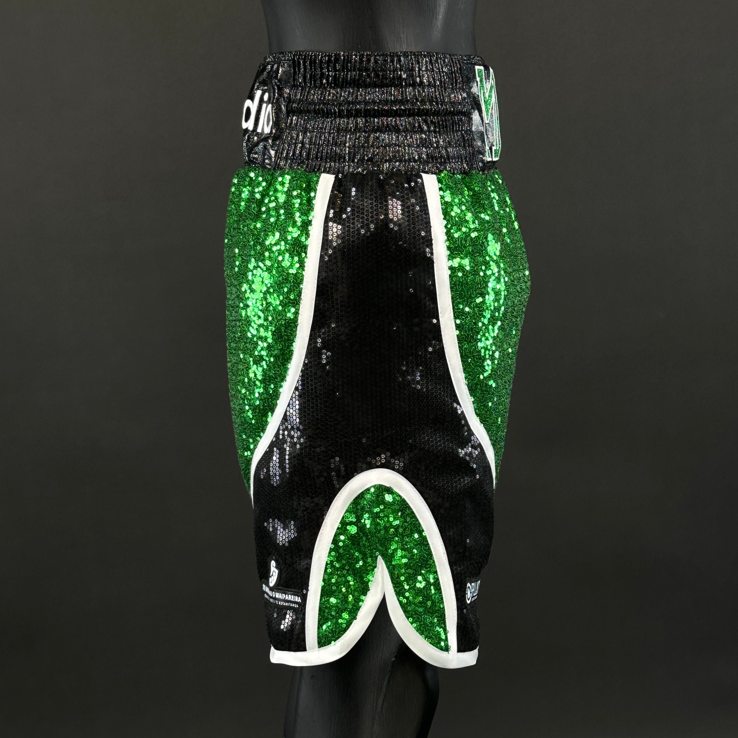 Dream BX Isaac 180330 Custom Boxing Shorts & Trunks