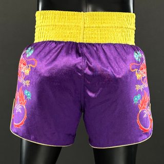 DRAGON MTS Ammar 180010 Muay Thai Shorts