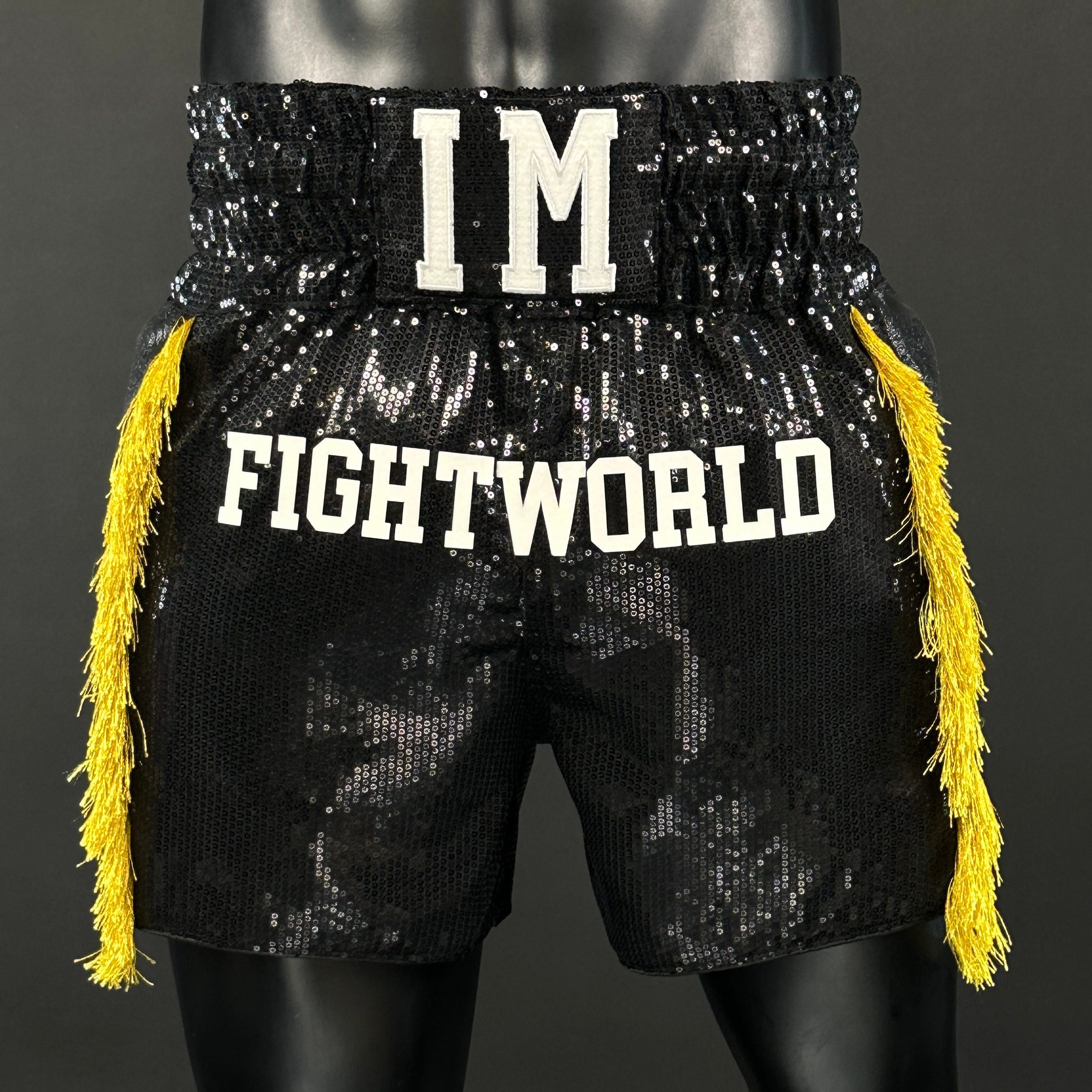One Champ MTS ibraahim 178759 Muay Thai Shorts