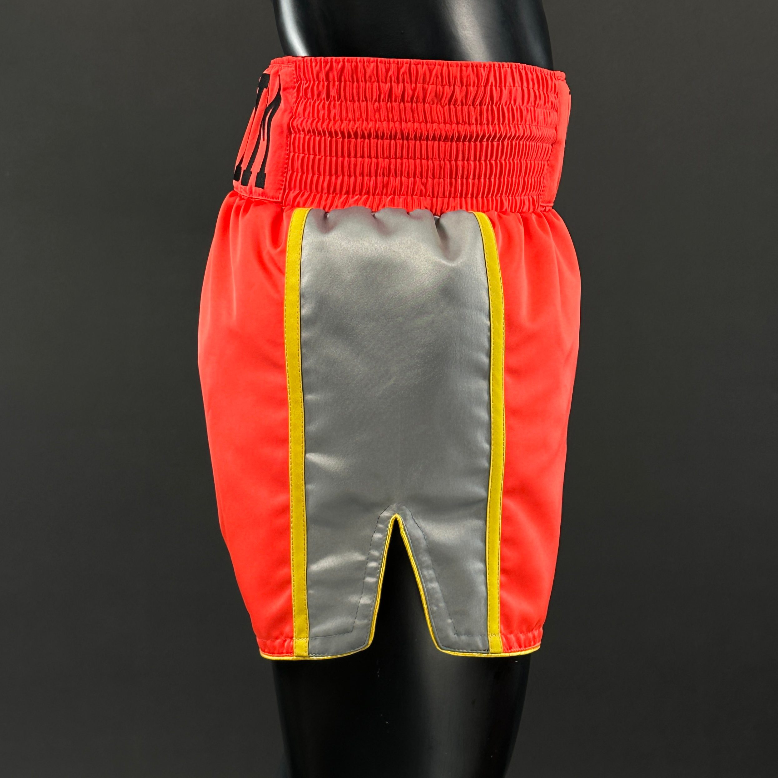 Side Stripe MTS James 180445 Muay Thai Shorts