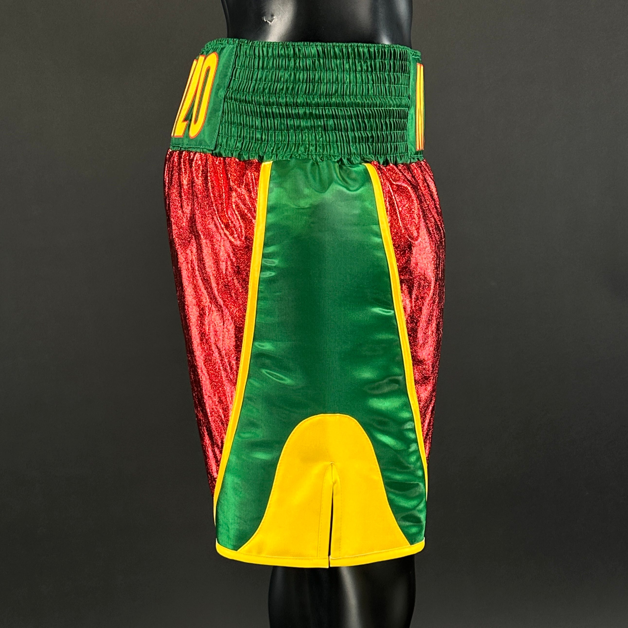 Courage BX Alexandre 179281 Custom Boxing Shorts & Trunks