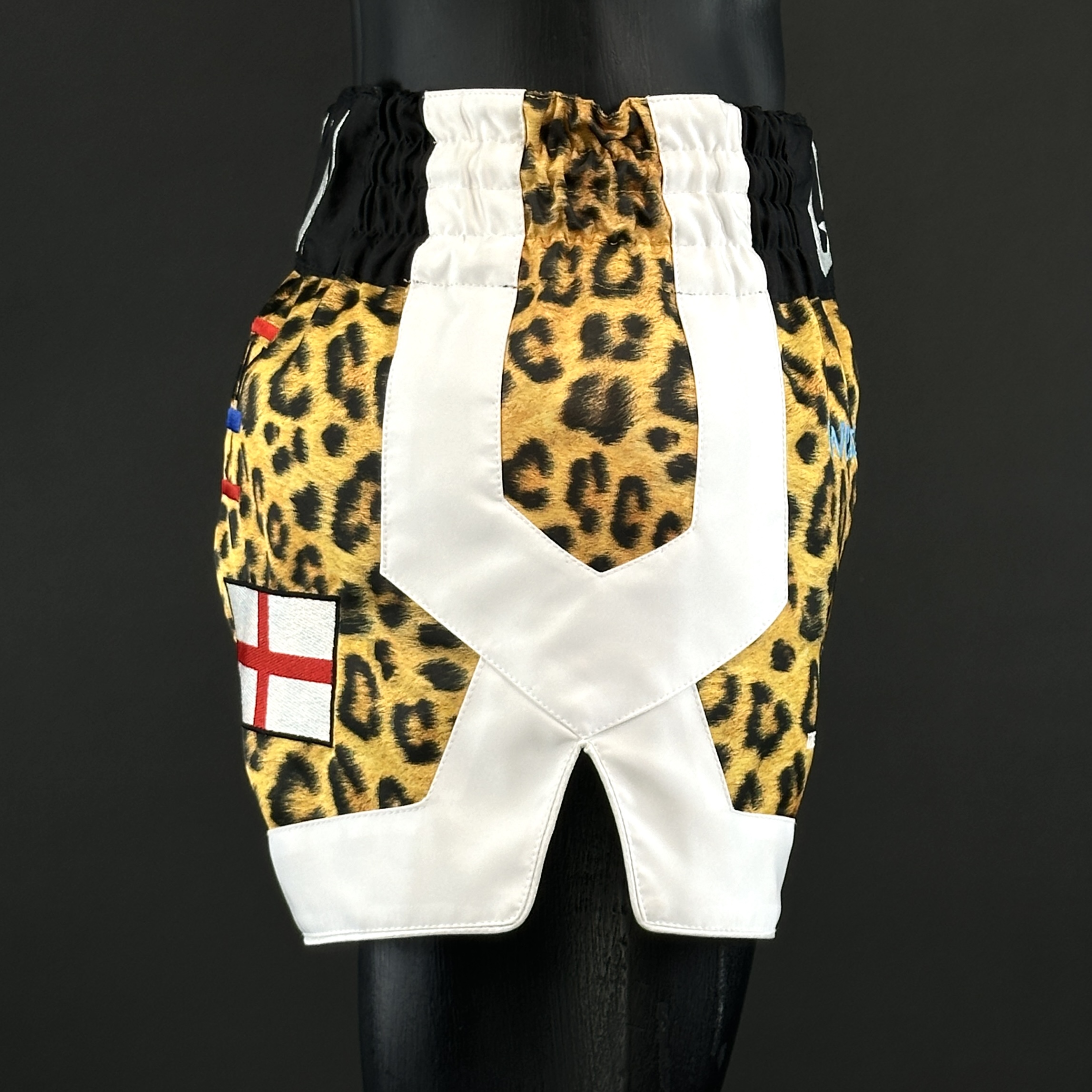 Cotto MTS Lynden 179653 Muay Thai Shorts