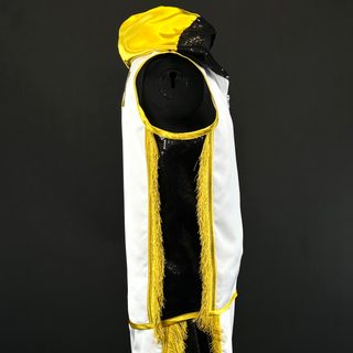 Side Stripes  Jacket  dylan 179652 Jackets