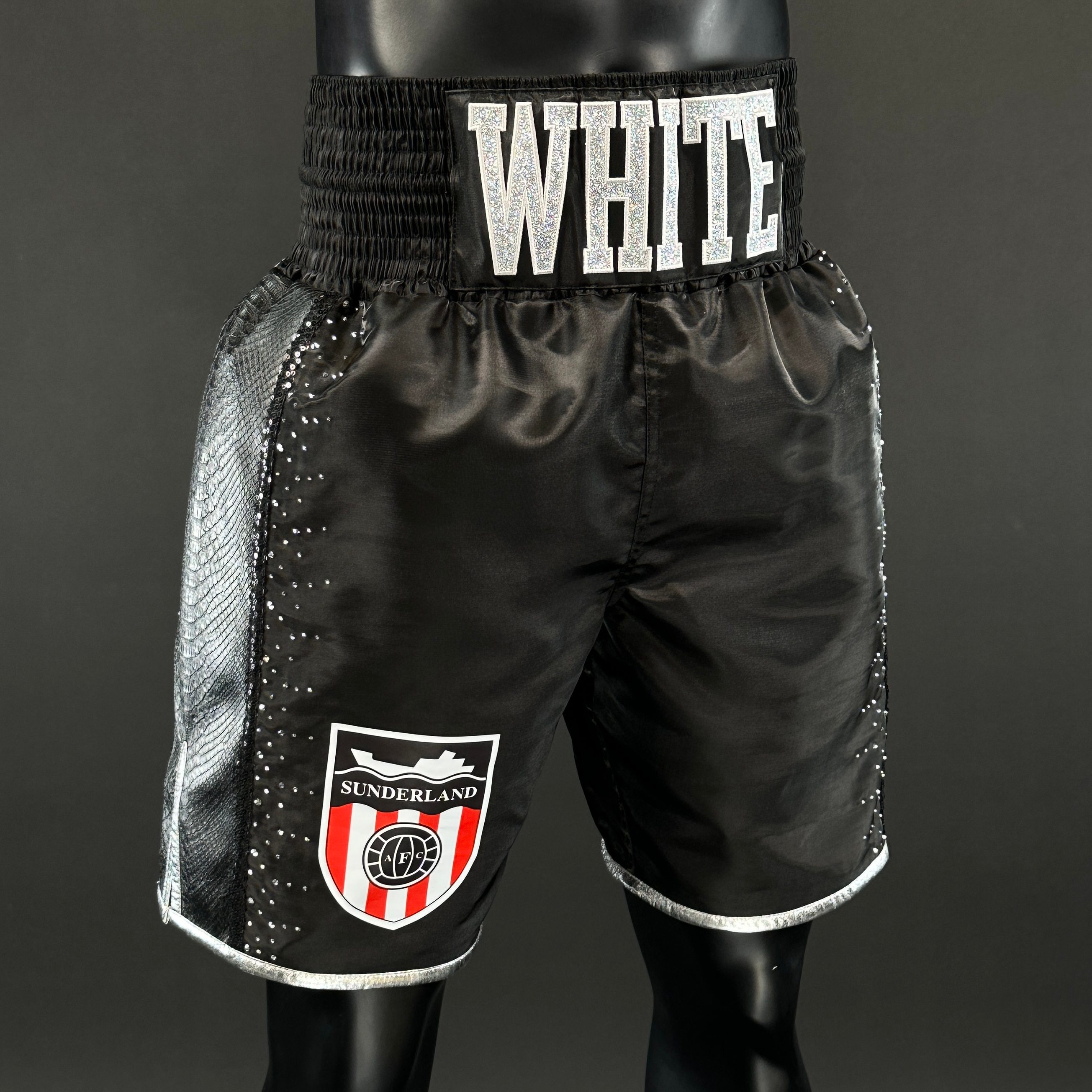 Side Stripe BX Old Liam 179965 Custom Boxing Shorts & Trunks