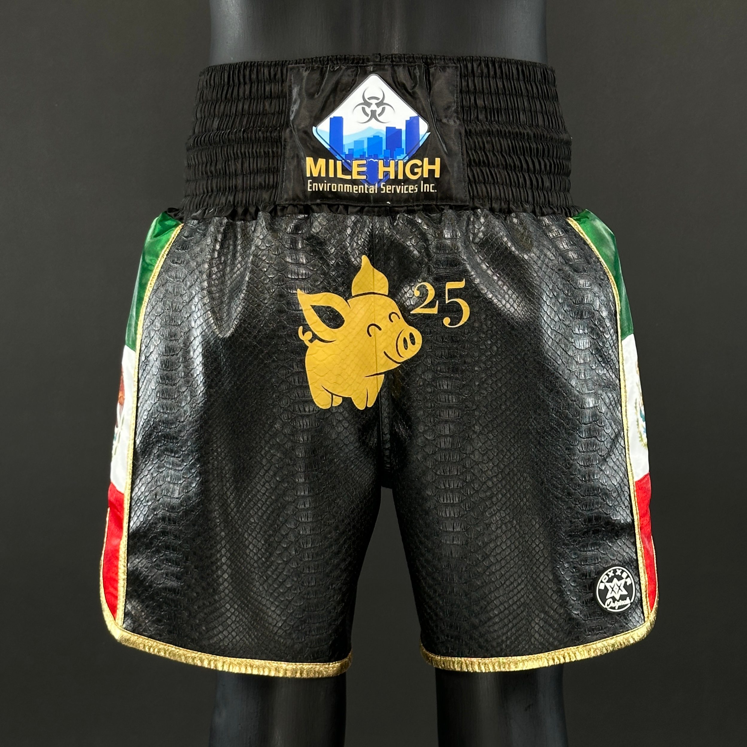 Venom BX Jose 181288 Custom Boxing Shorts & Trunks