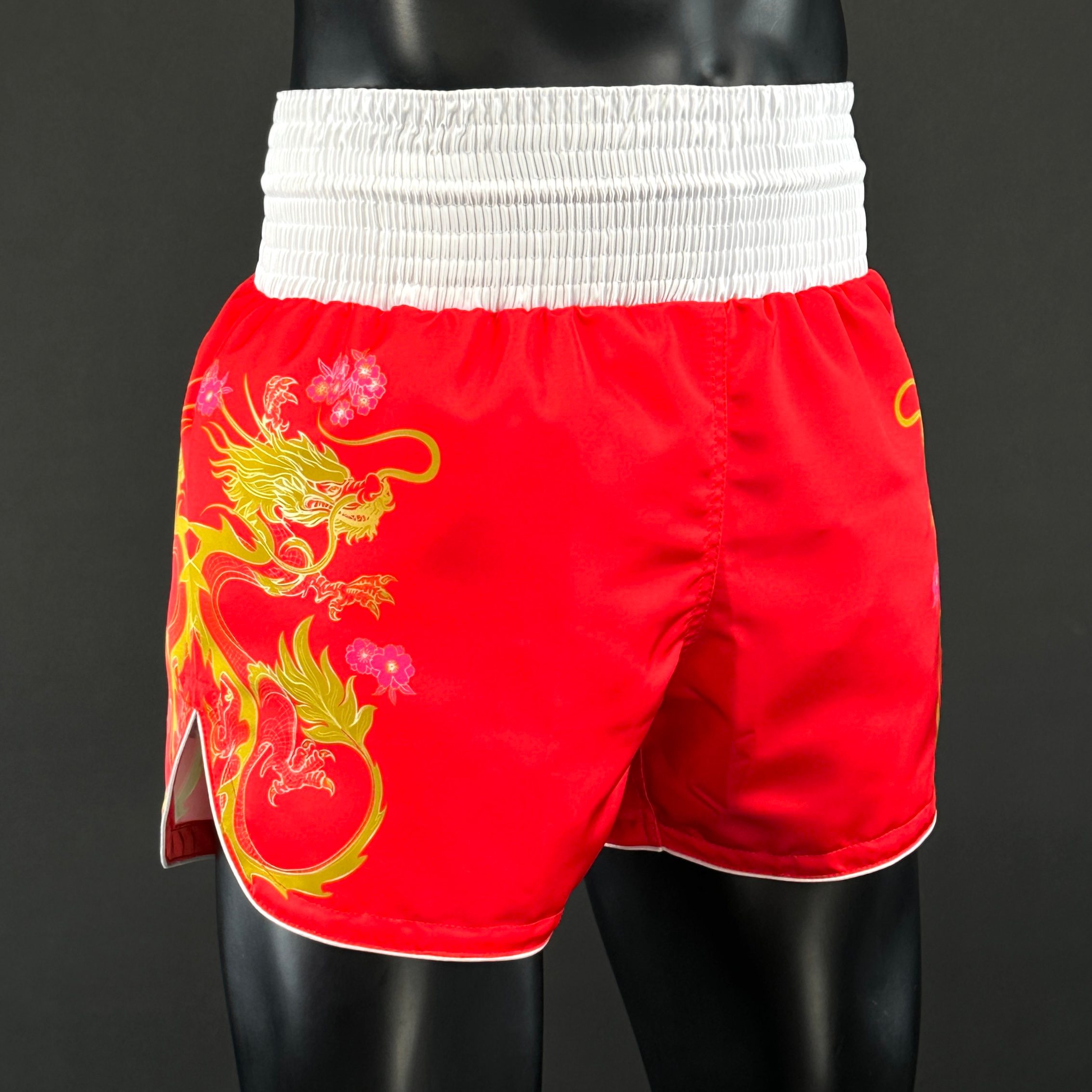 DRAGON MTS Wiktor 180197 Muay Thai Shorts