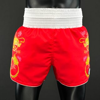 DRAGON MTS Wiktor 180197 Muay Thai Shorts