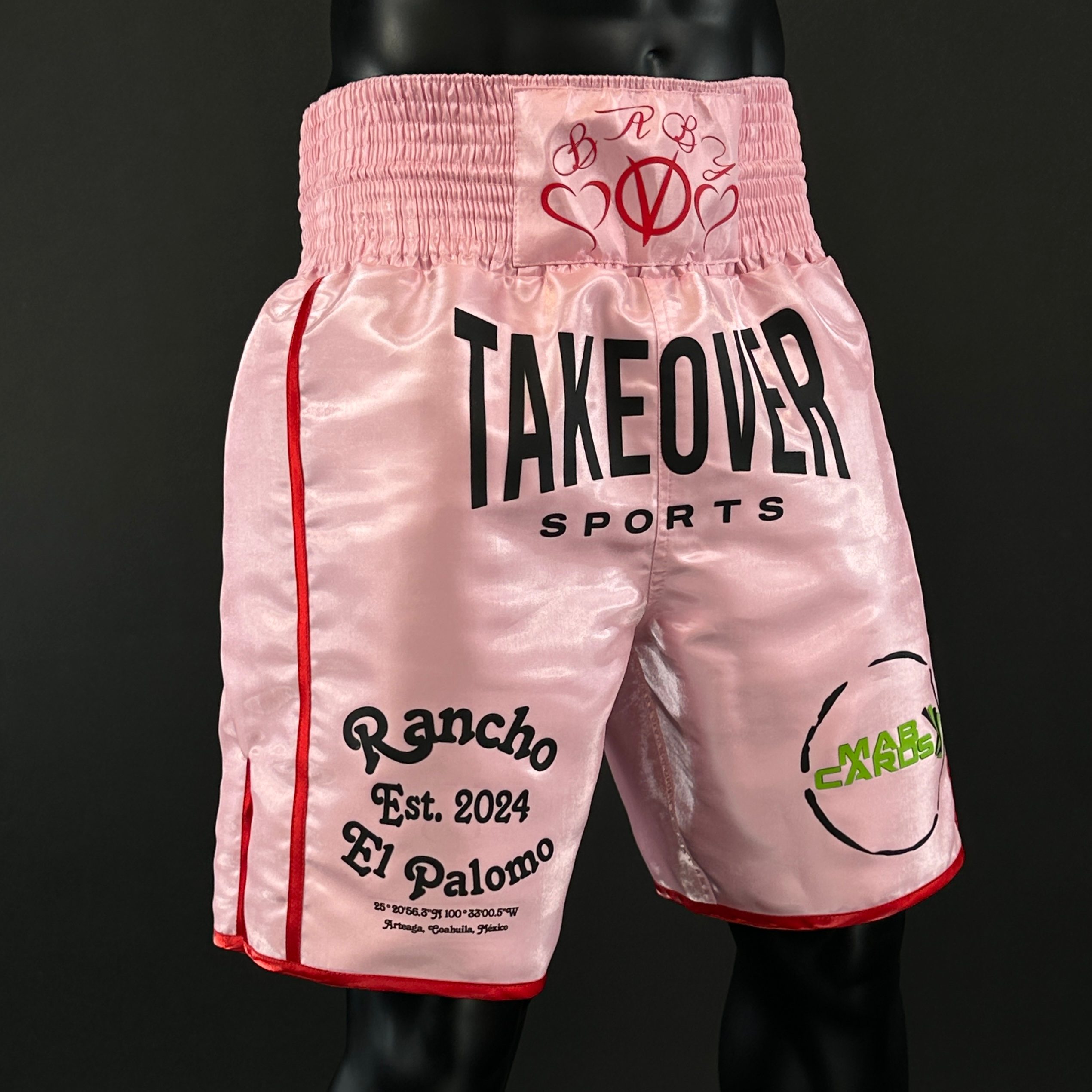 Side Stripe BX  Ryan 181511 Custom Boxing Shorts & Trunks