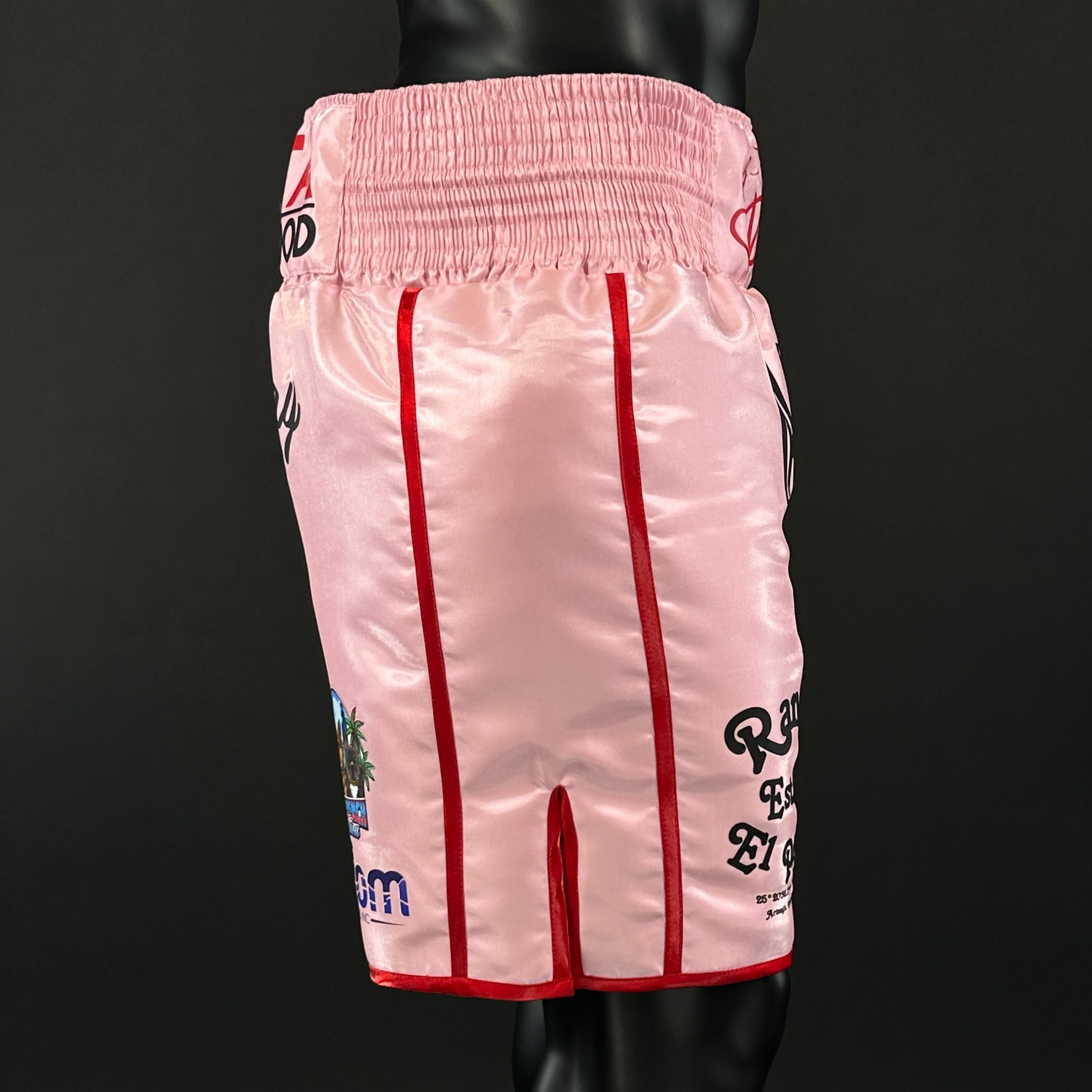 Side Stripe BX  Ryan 181511 Custom Boxing Shorts & Trunks