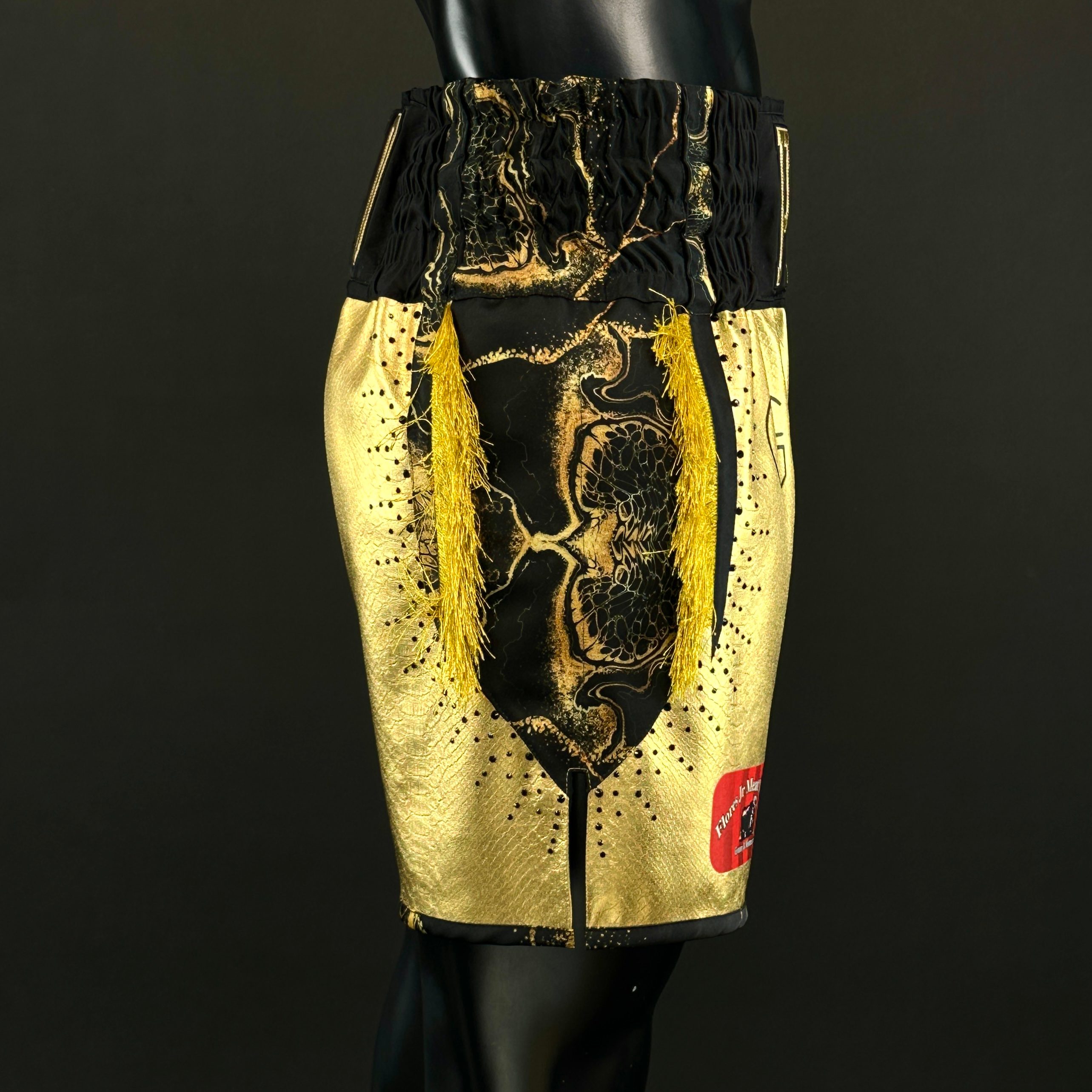 USYK TRIBUTE BX Alejandro 179501 Custom Boxing Shorts & Trunks