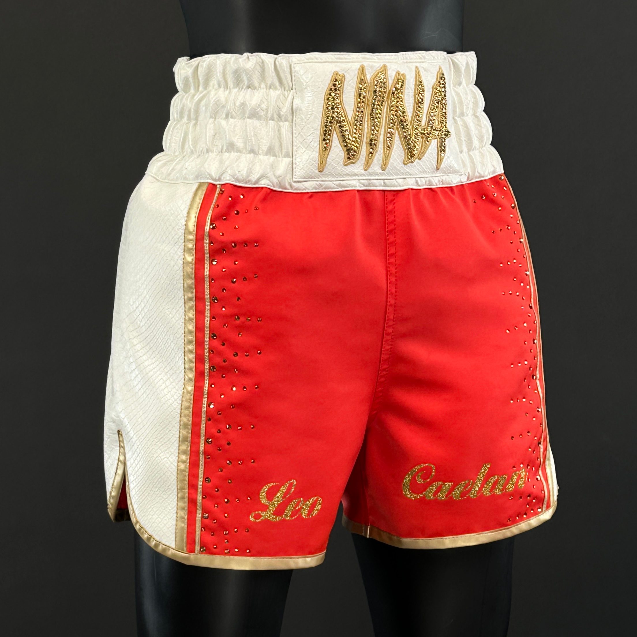 Side Stripe Luxury II Nina 182058 Custom Boxing Shorts & Trunks