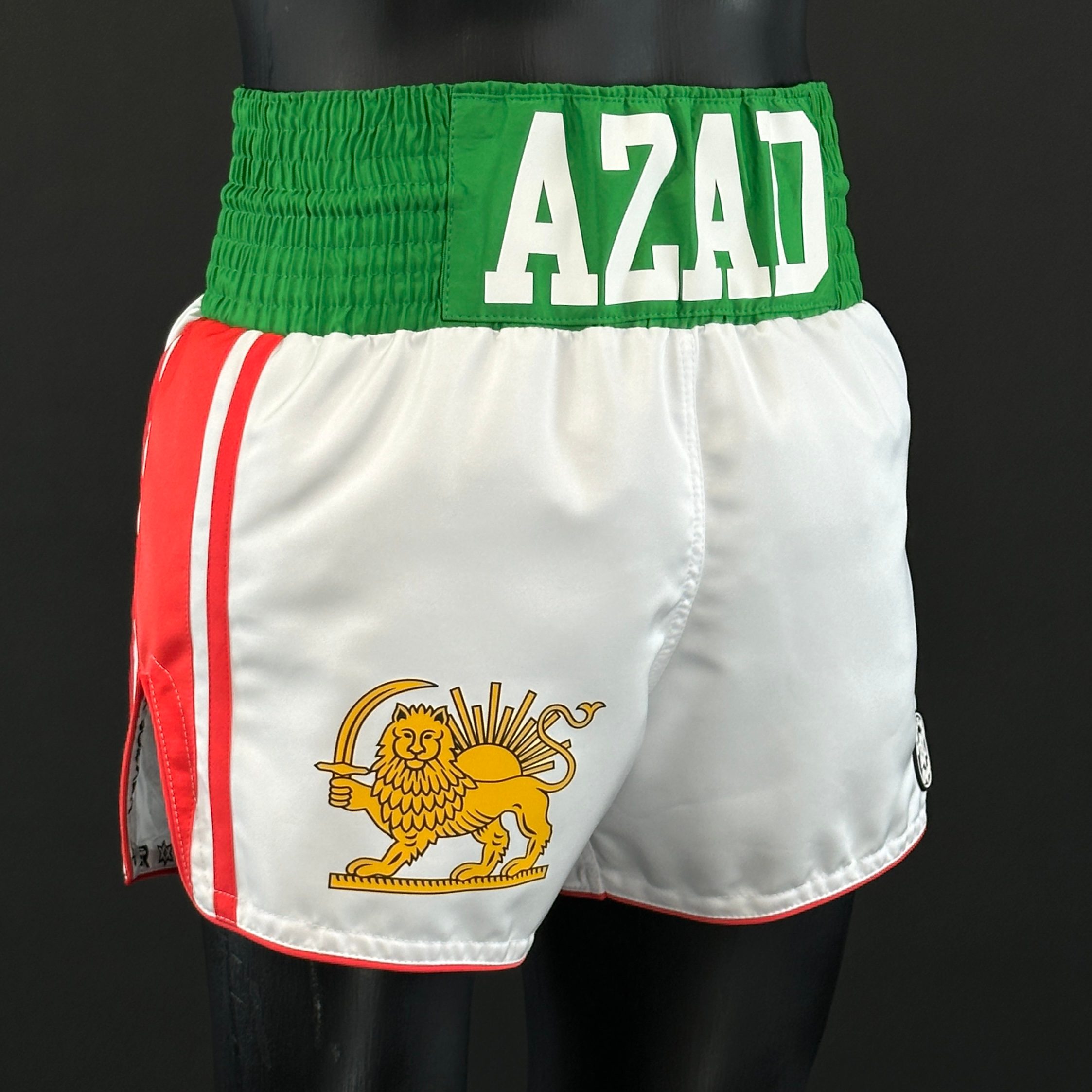 WINNER MTS Old Arvin 181669 Muay Thai Shorts