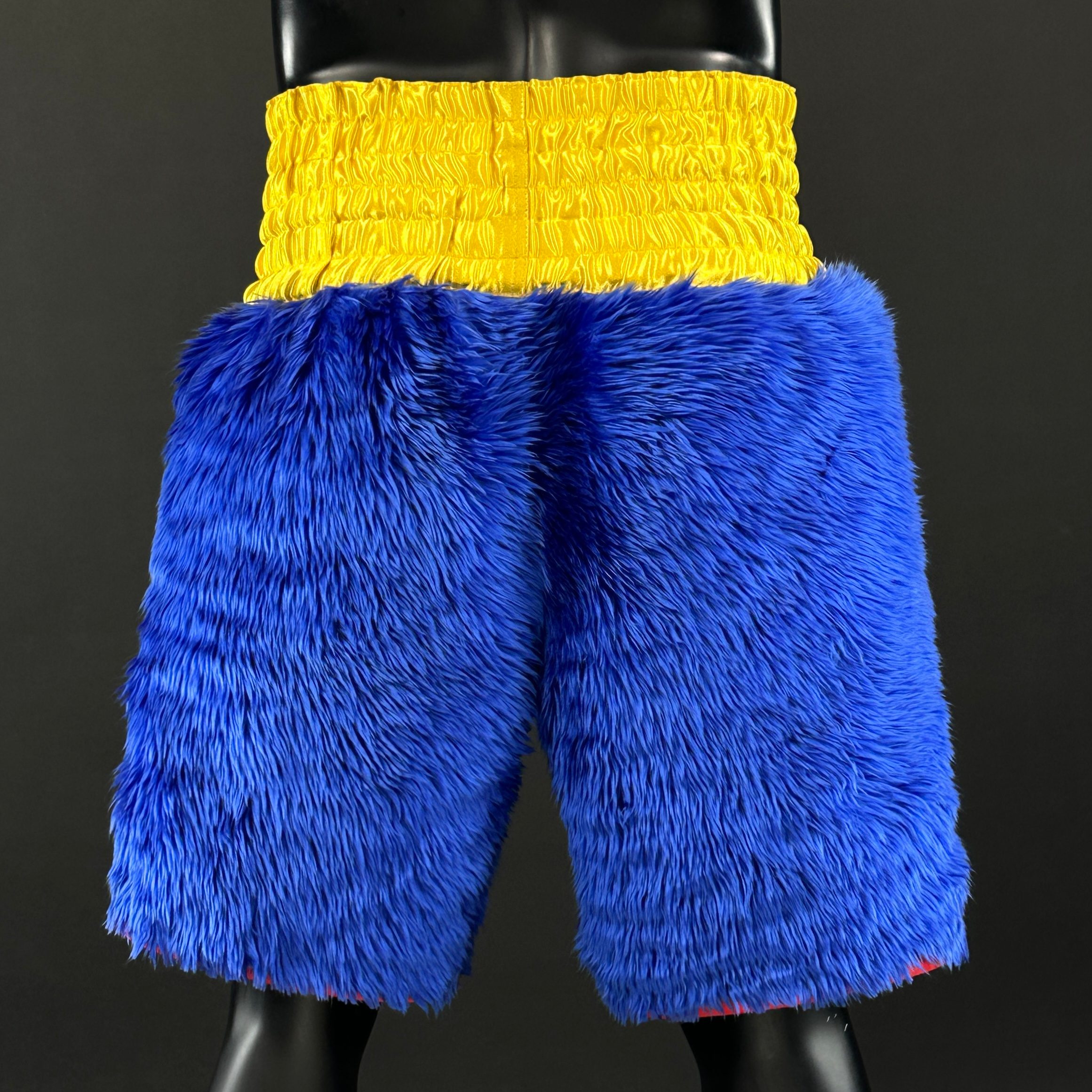 Unbroken BX Paul 183007 Custom Boxing Shorts & Trunks