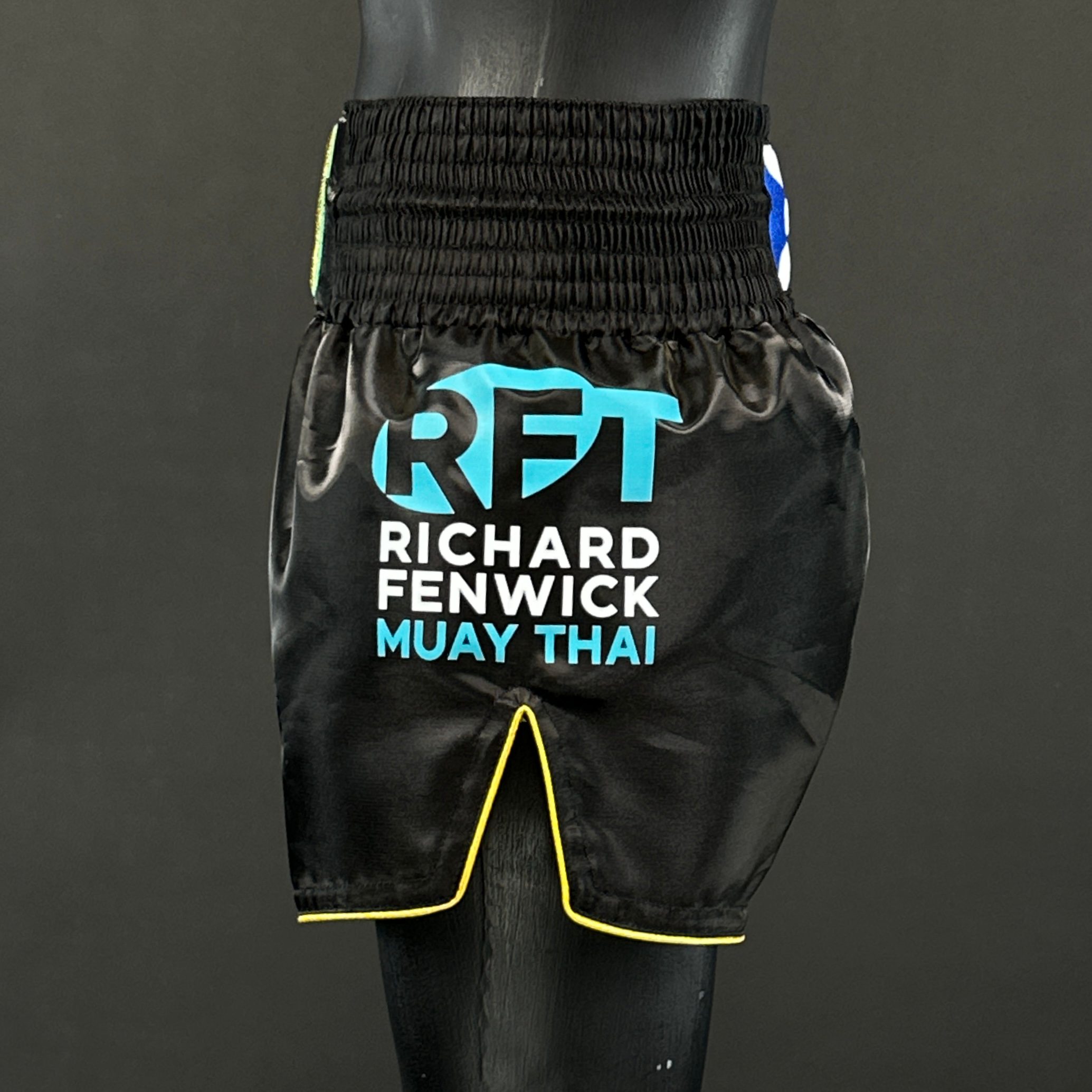 Roy Jones MTS Freddie 182062 Muay Thai Shorts