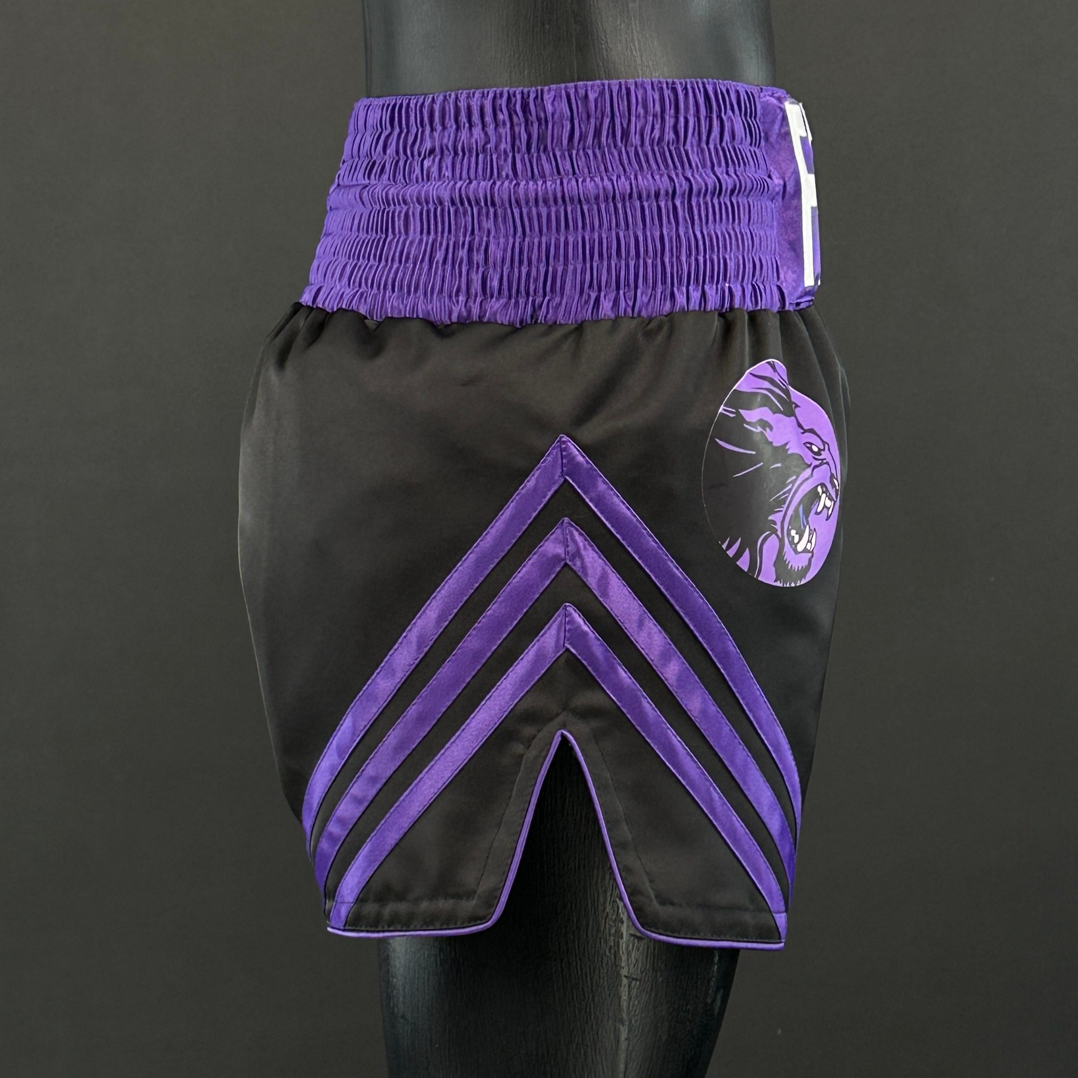 HORIZON MTS Leigh 181969 Muay Thai Shorts