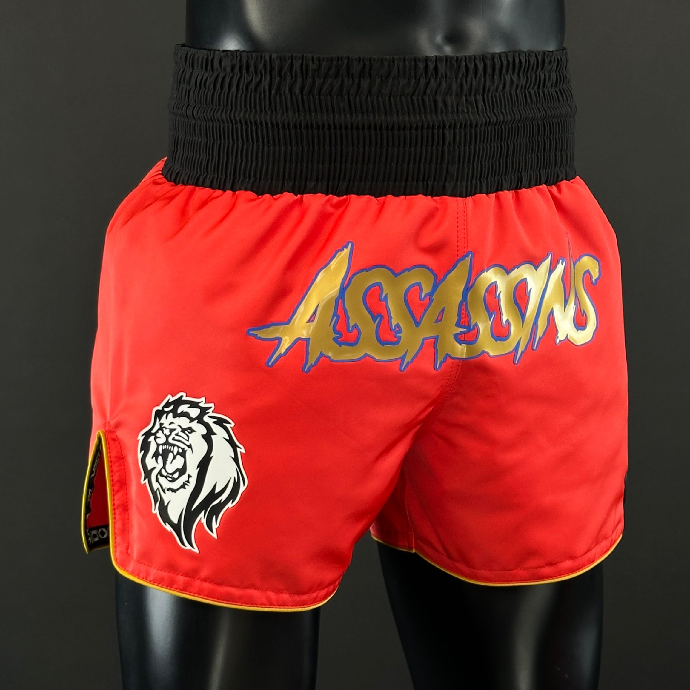 Classic MTS Aaron 182800 Muay Thai Shorts