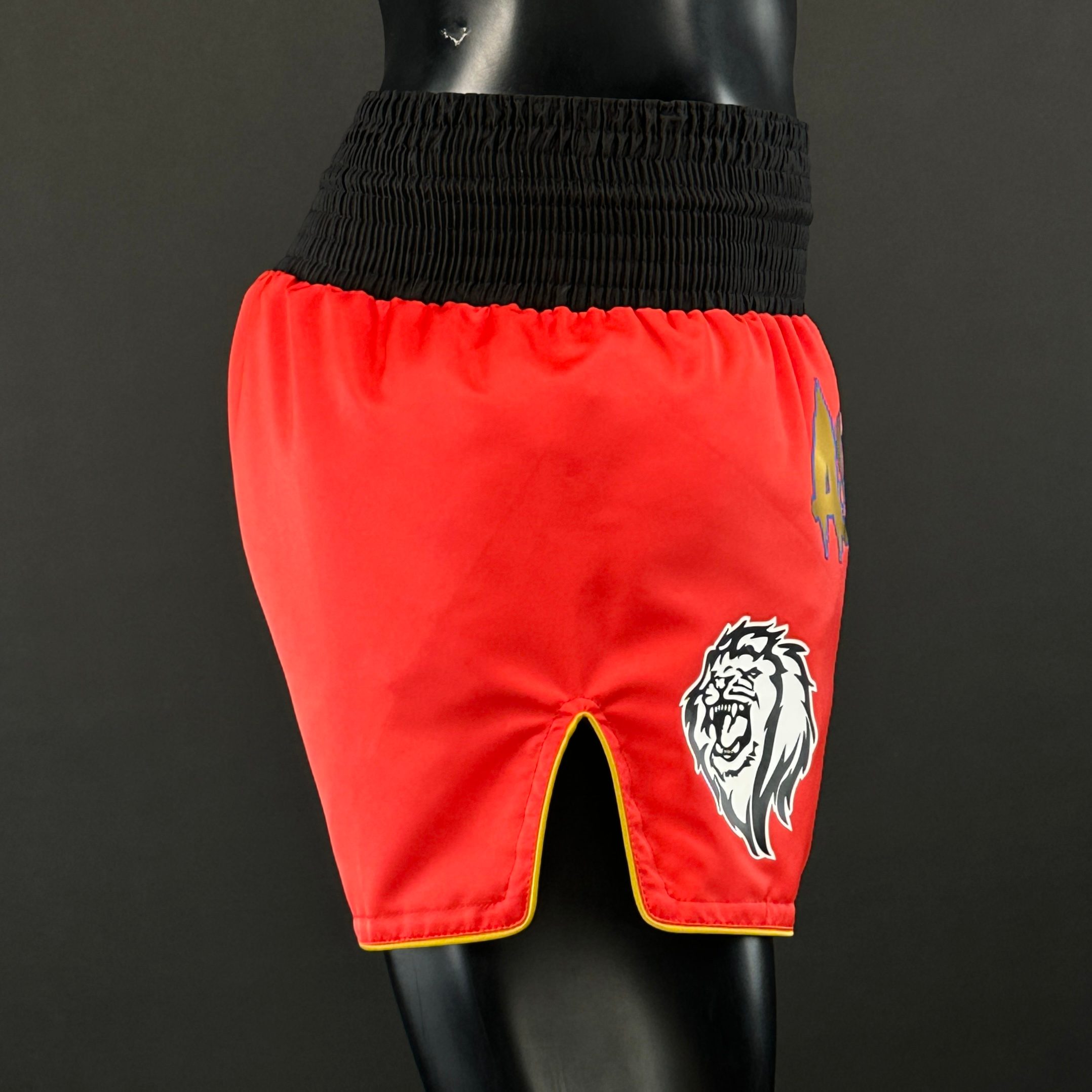Classic MTS Aaron 182800 Muay Thai Shorts