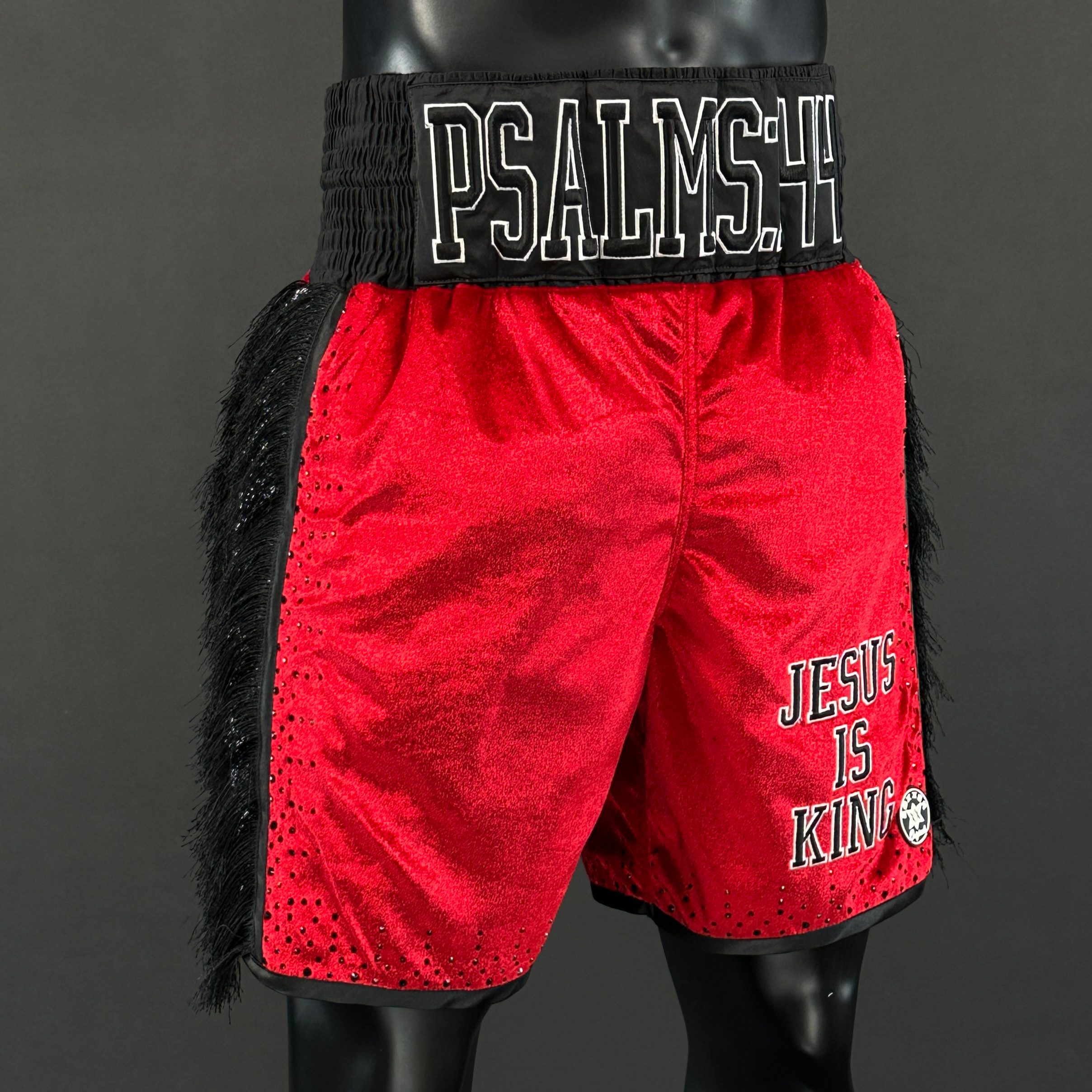 TKV BX (Boxxerworld Elite) Ruben 183912 Custom Boxing Shorts & Trunks