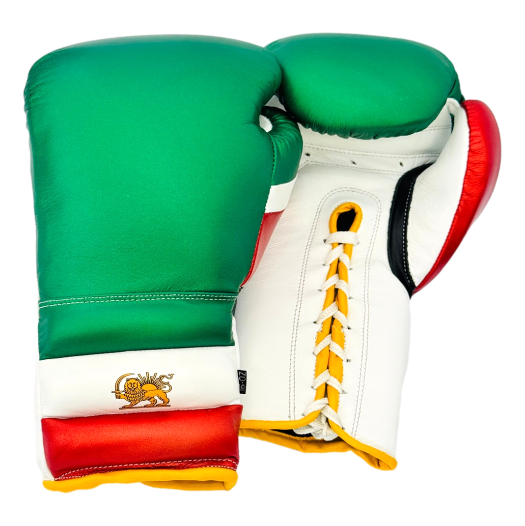 Gloves Multicolour ridged 183865 Dariush Boxing Gloves