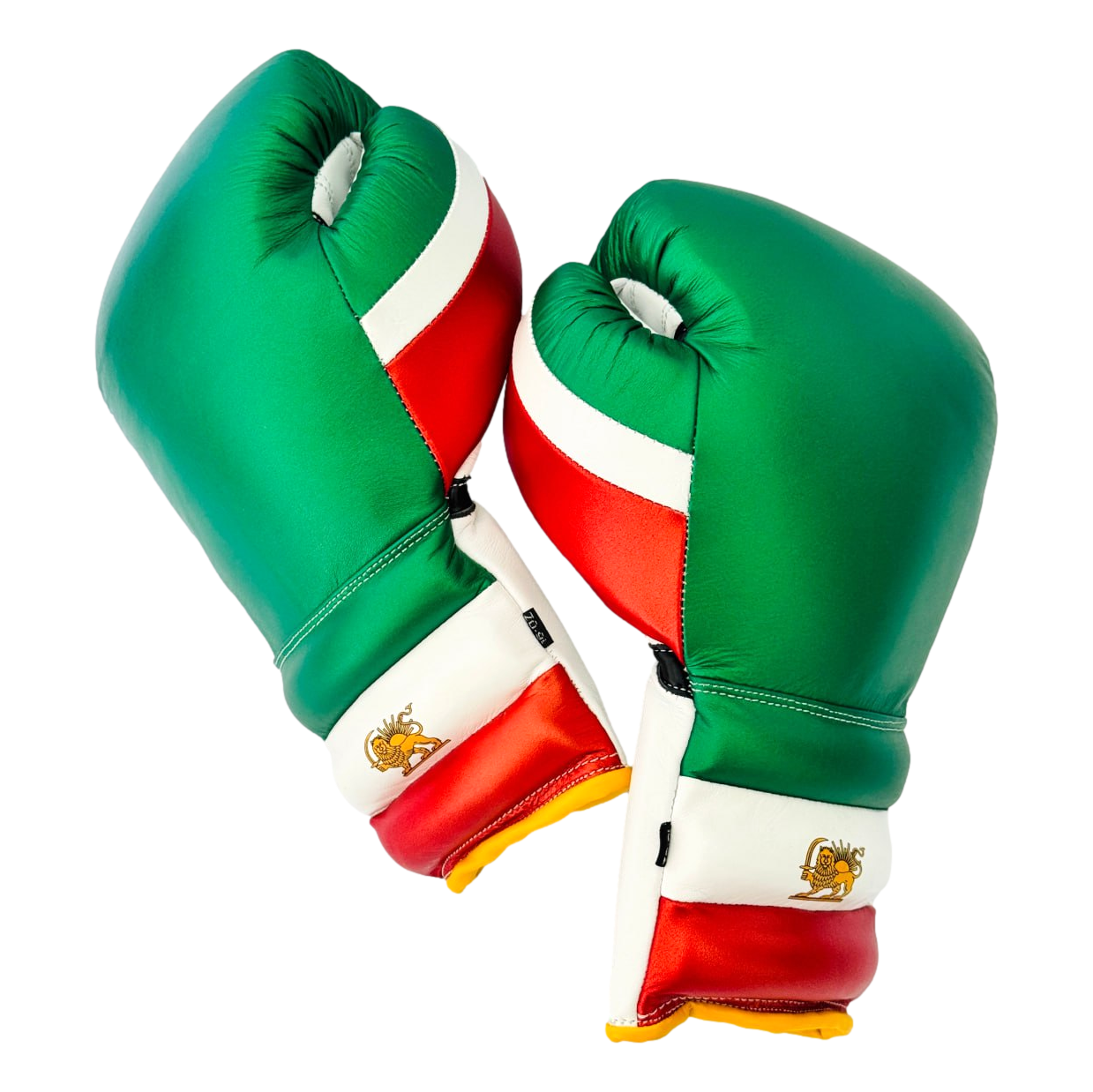 Gloves Multicolour ridged 183865 Dariush Boxing Gloves