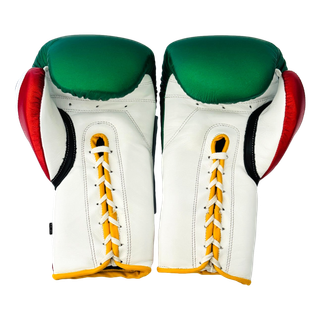 Gloves Multicolour ridged 183865 Dariush Boxing Gloves