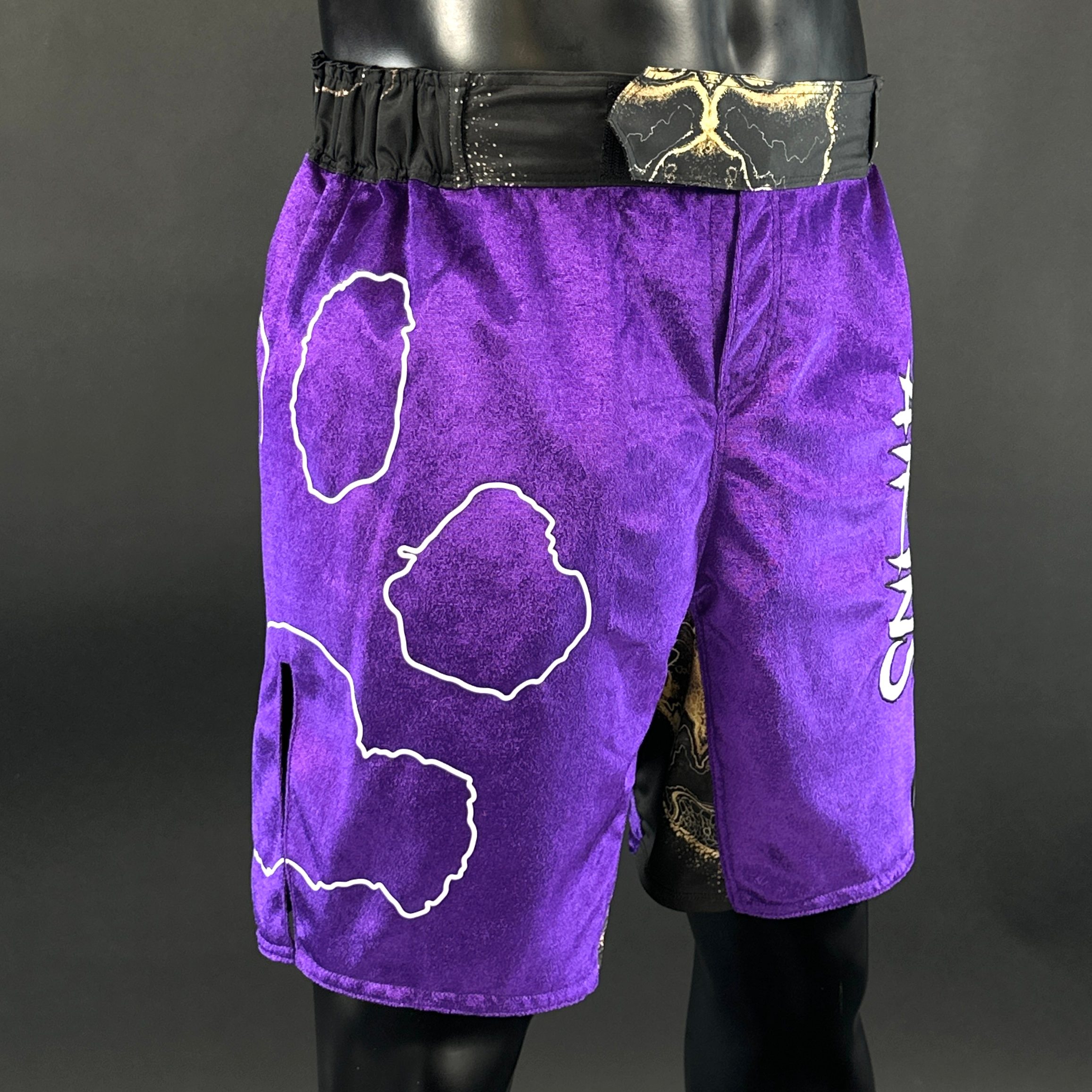 Classic MMA shorts Ethan 185448 MMA Shorts