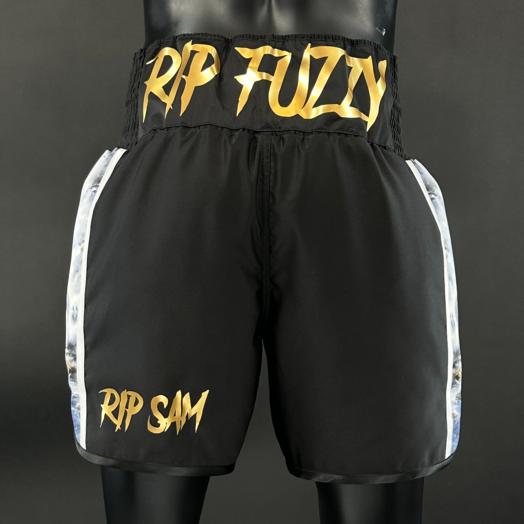 Side Stripe BX  Cameron 185783 Custom Boxing Shorts & Trunks